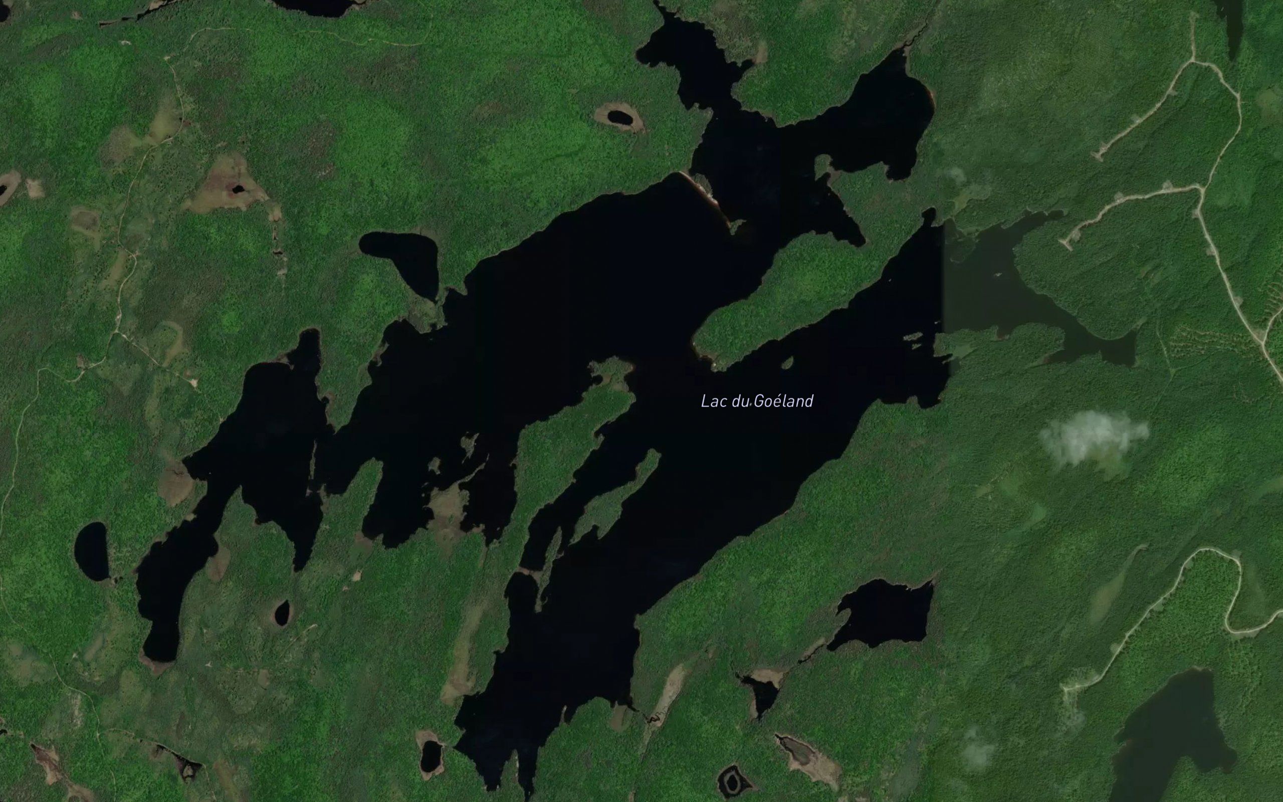 Lac du Goeland