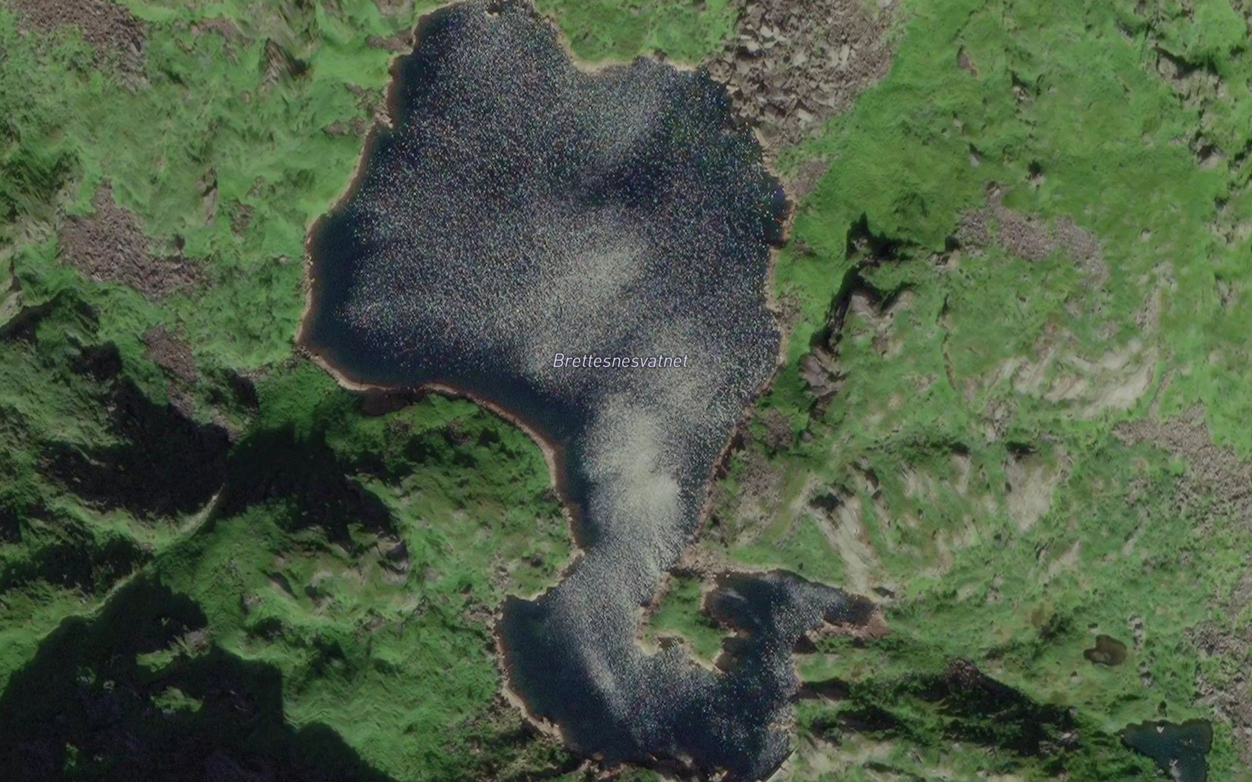Brettesnesvatnet
