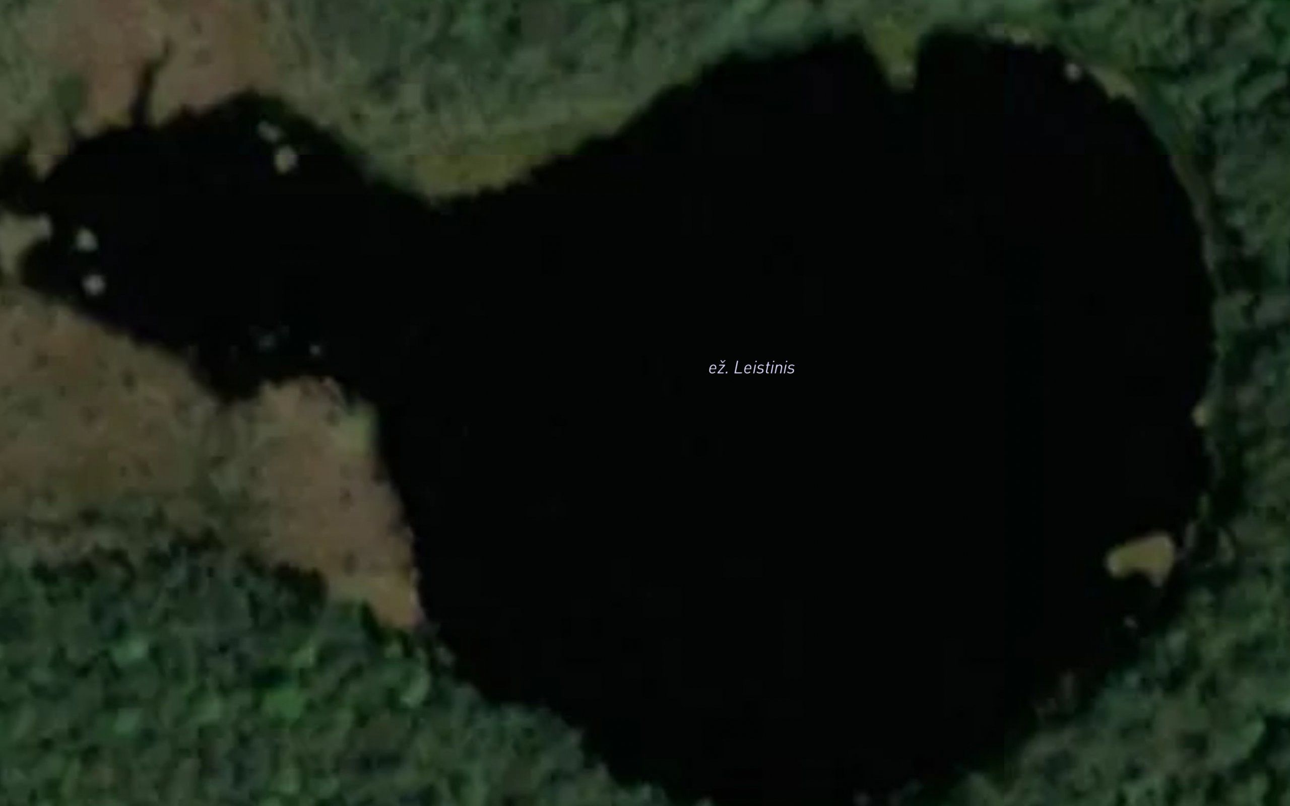 Ezeras Leistinis
