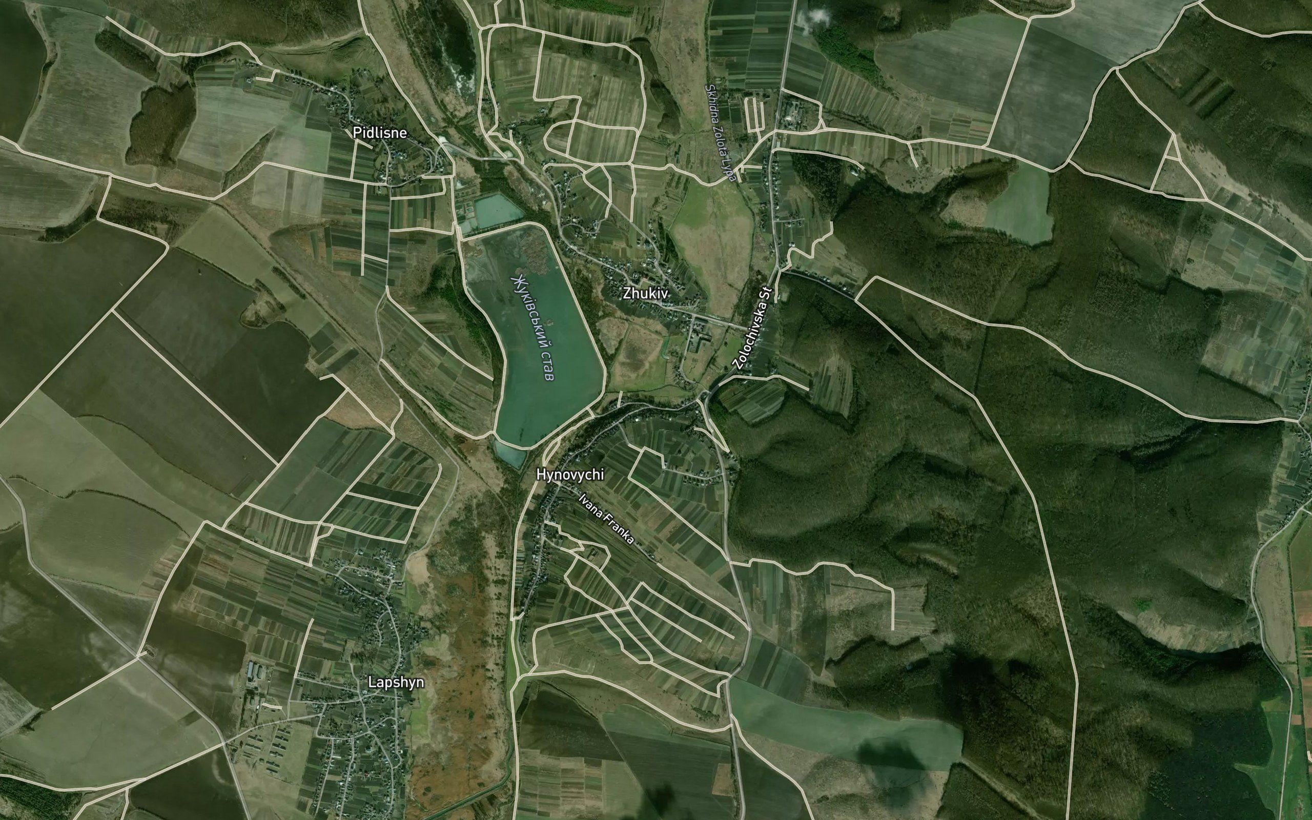 Skhidna Zolota Lypa