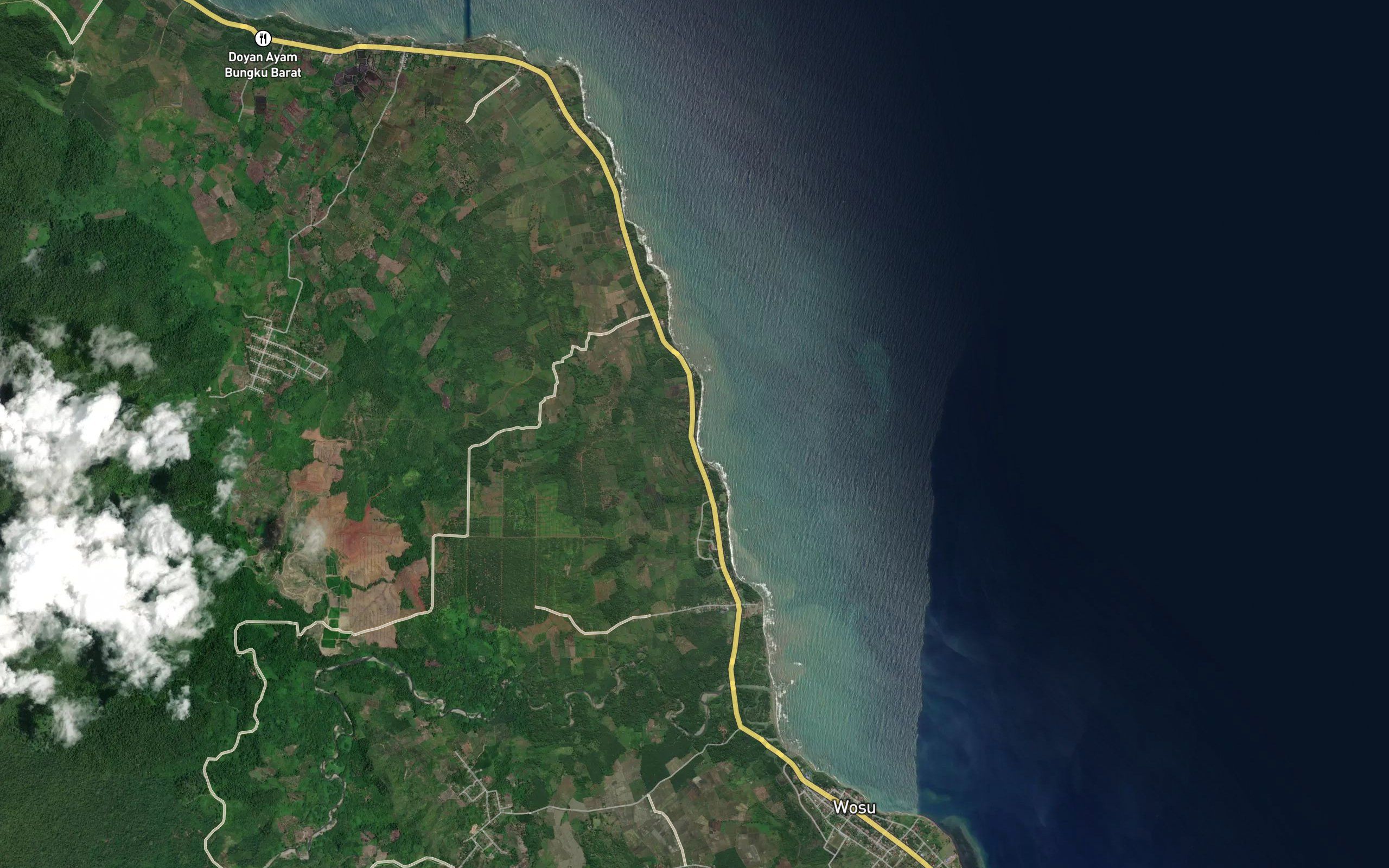 Baho Mangoni