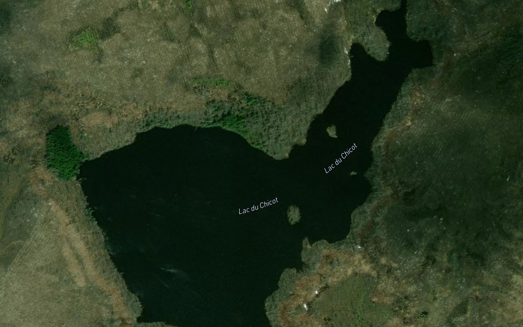 Satellite map of the Lac du Chicot