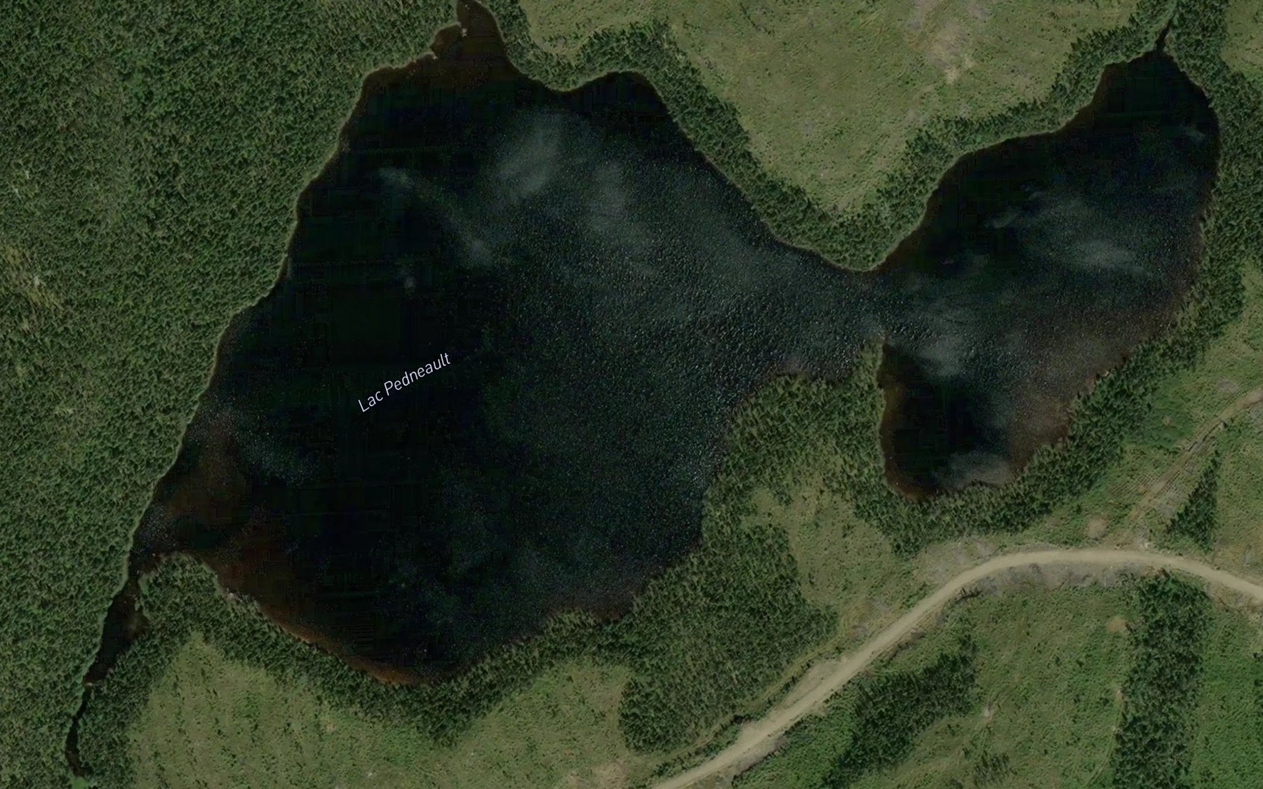 Satellite map of the Lac Pedneault