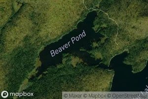 Beaver Pond