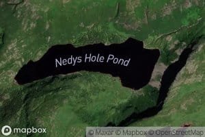 Nedys Hole Pond