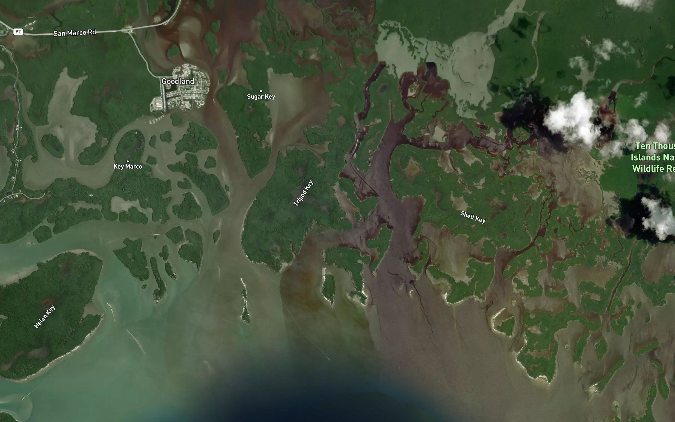 Whitney Channel