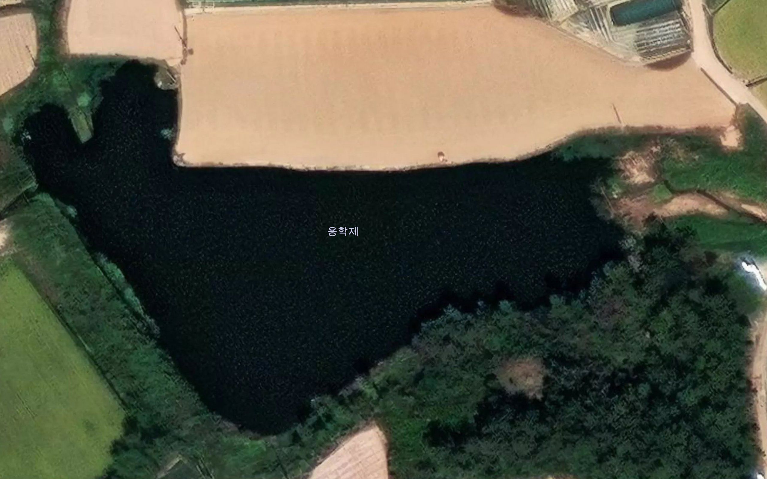 Yonghakje