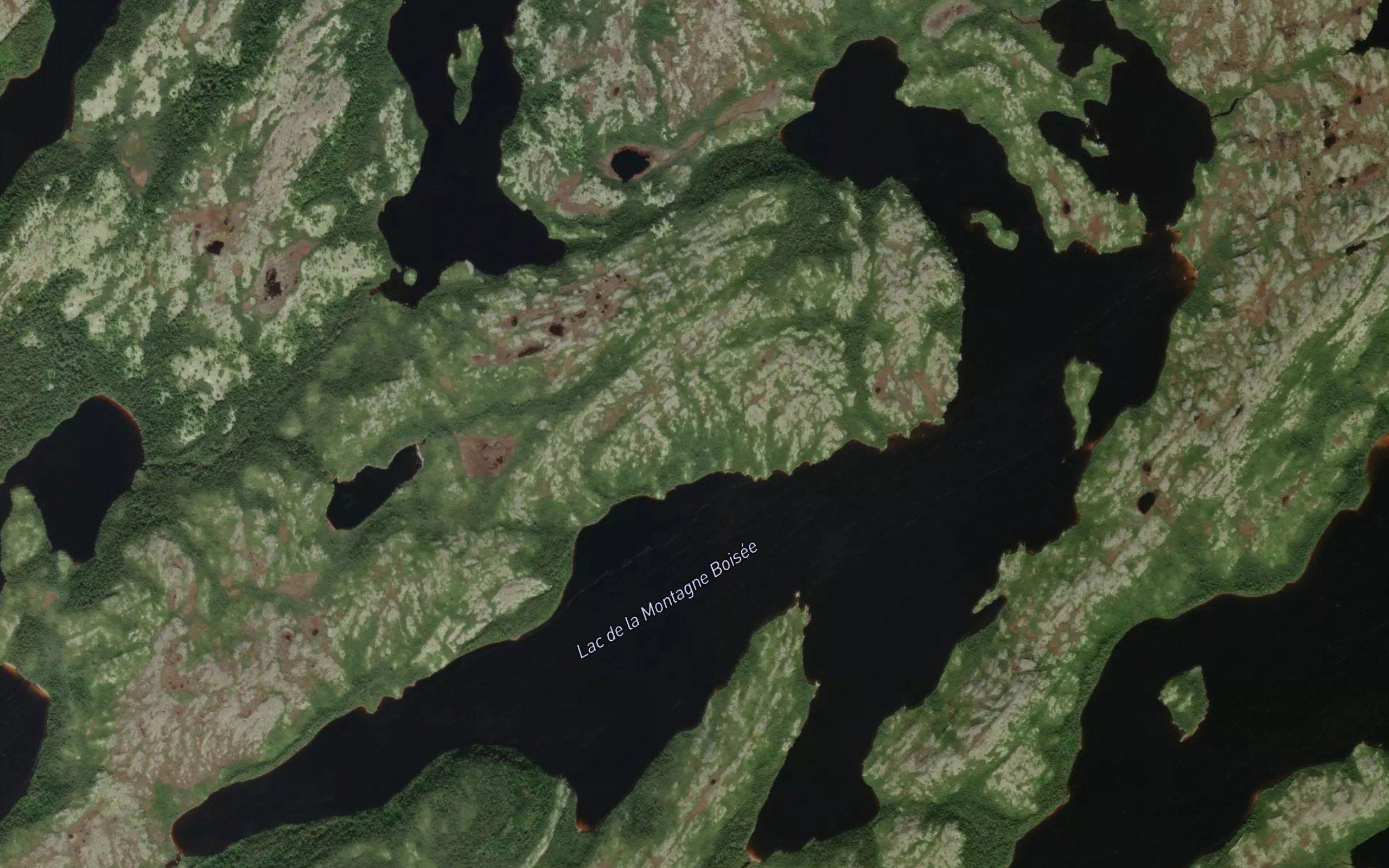 Lac de la Montagne Boisee