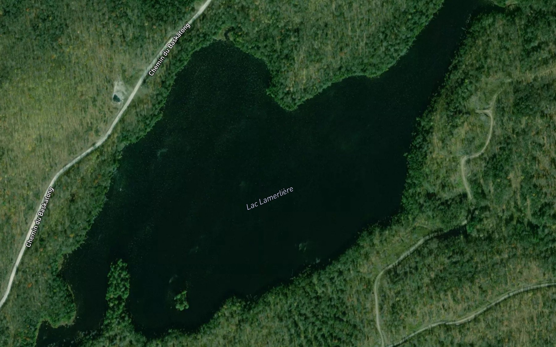 Satellite map of the Lac Lamerliere