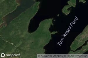Tom Roses Pond