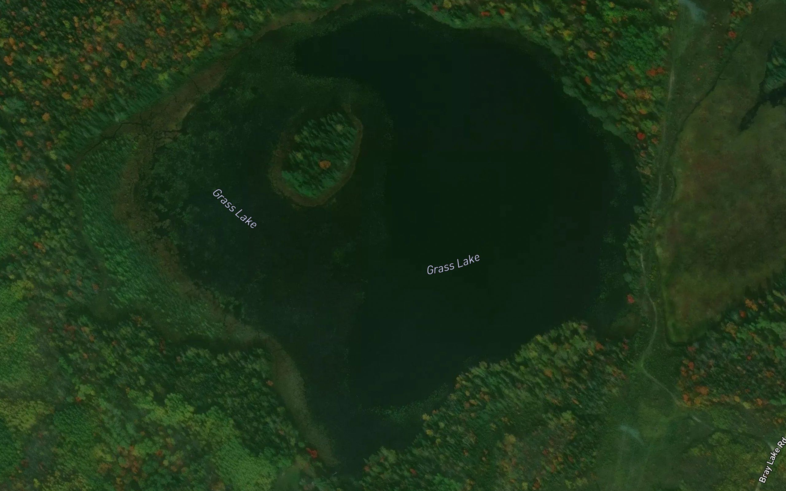 Grass Lake