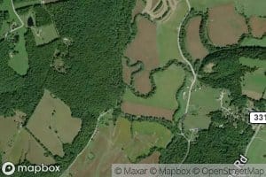 Bull Fork