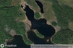 Muurahaisniemenvuopaja