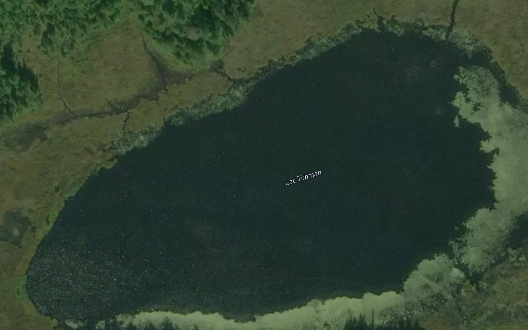Satellite map of the Lac Tubman