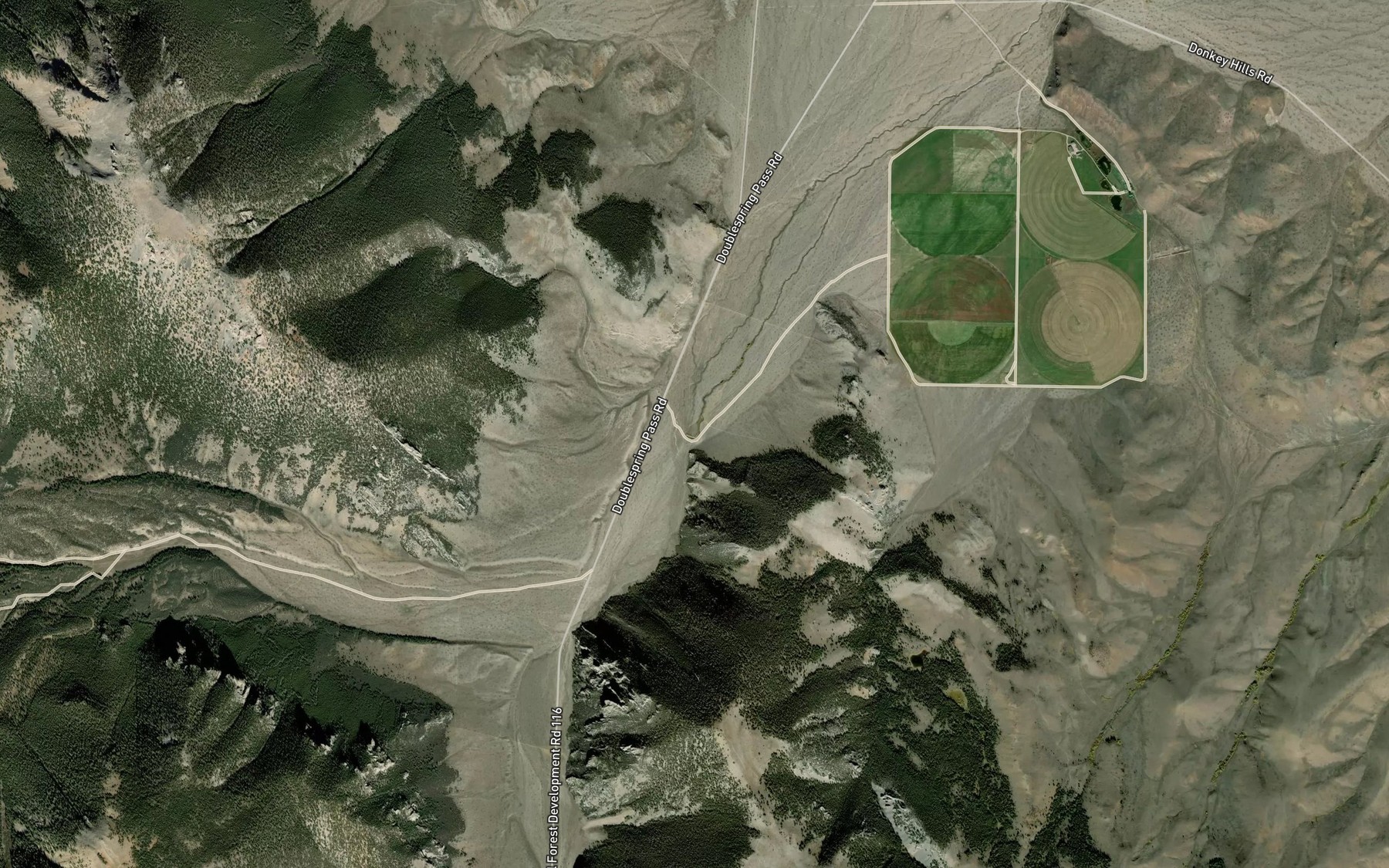 Satellite map of the Doublespring
