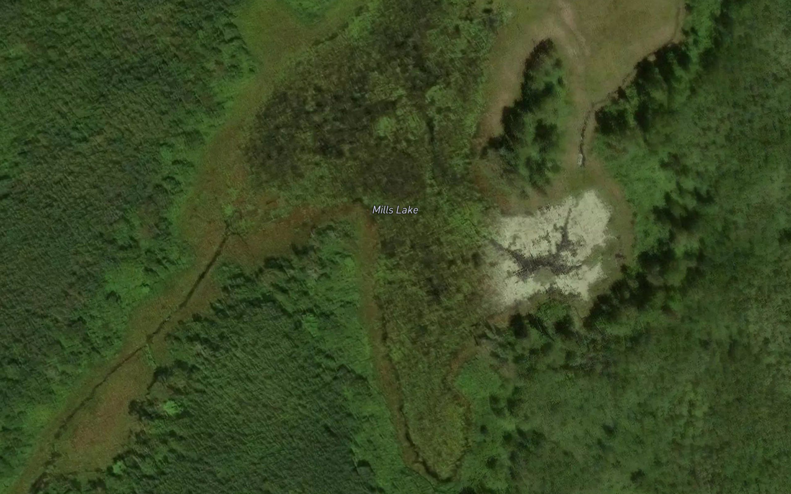 Mills Lake
