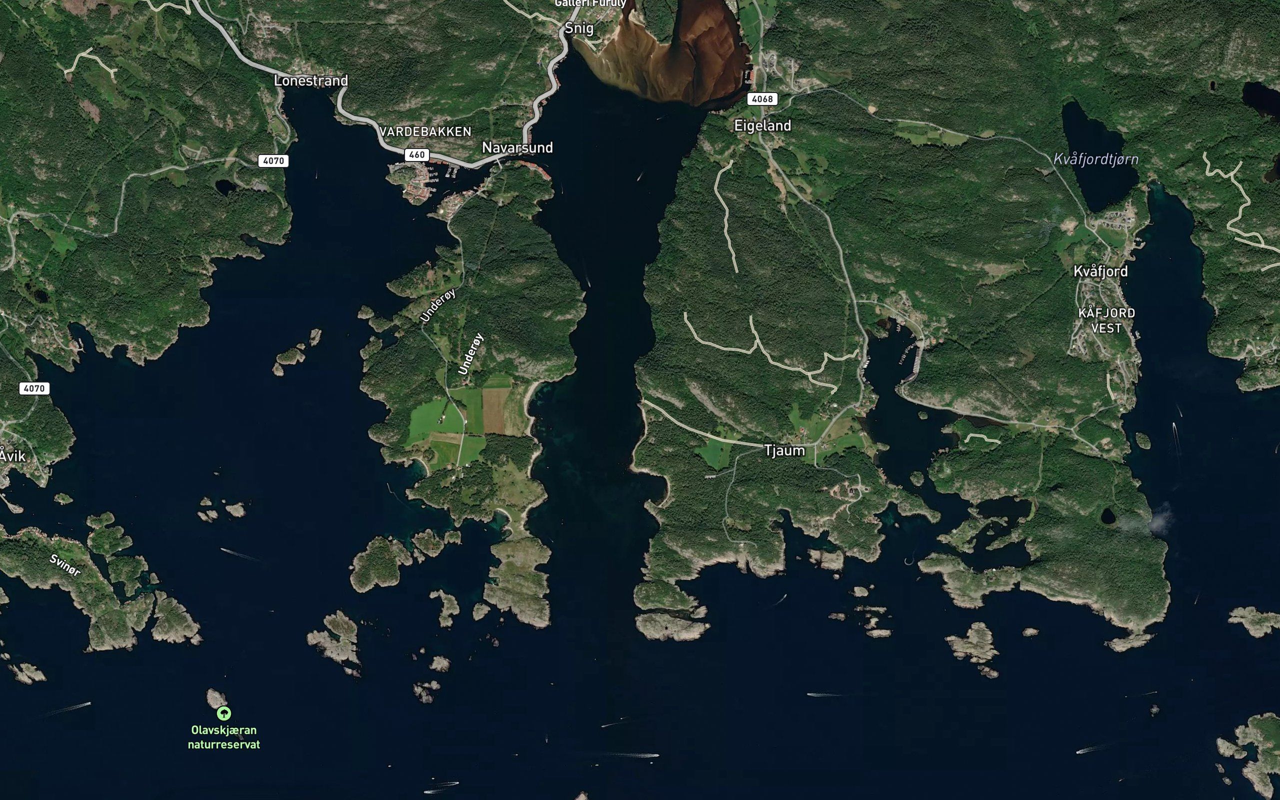 Gjeidevika