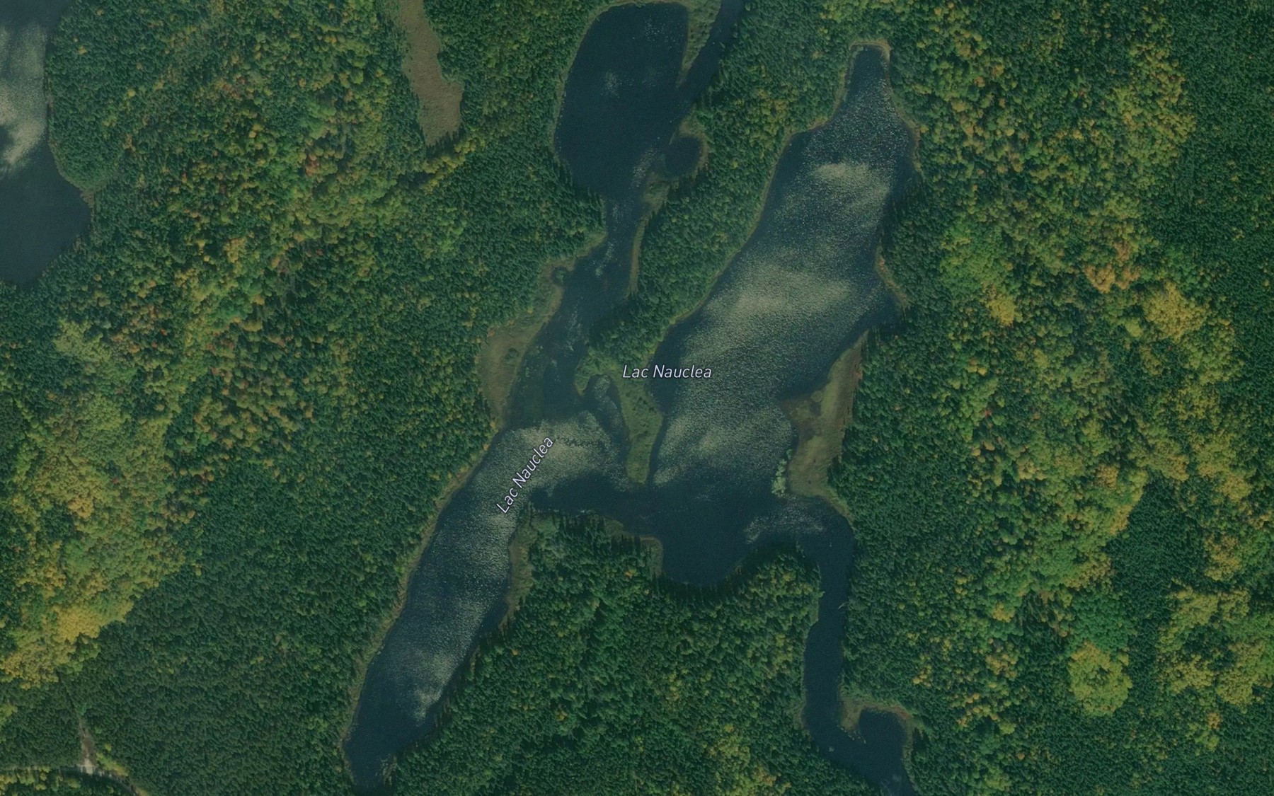 Satellite map of the Lac Nauclea