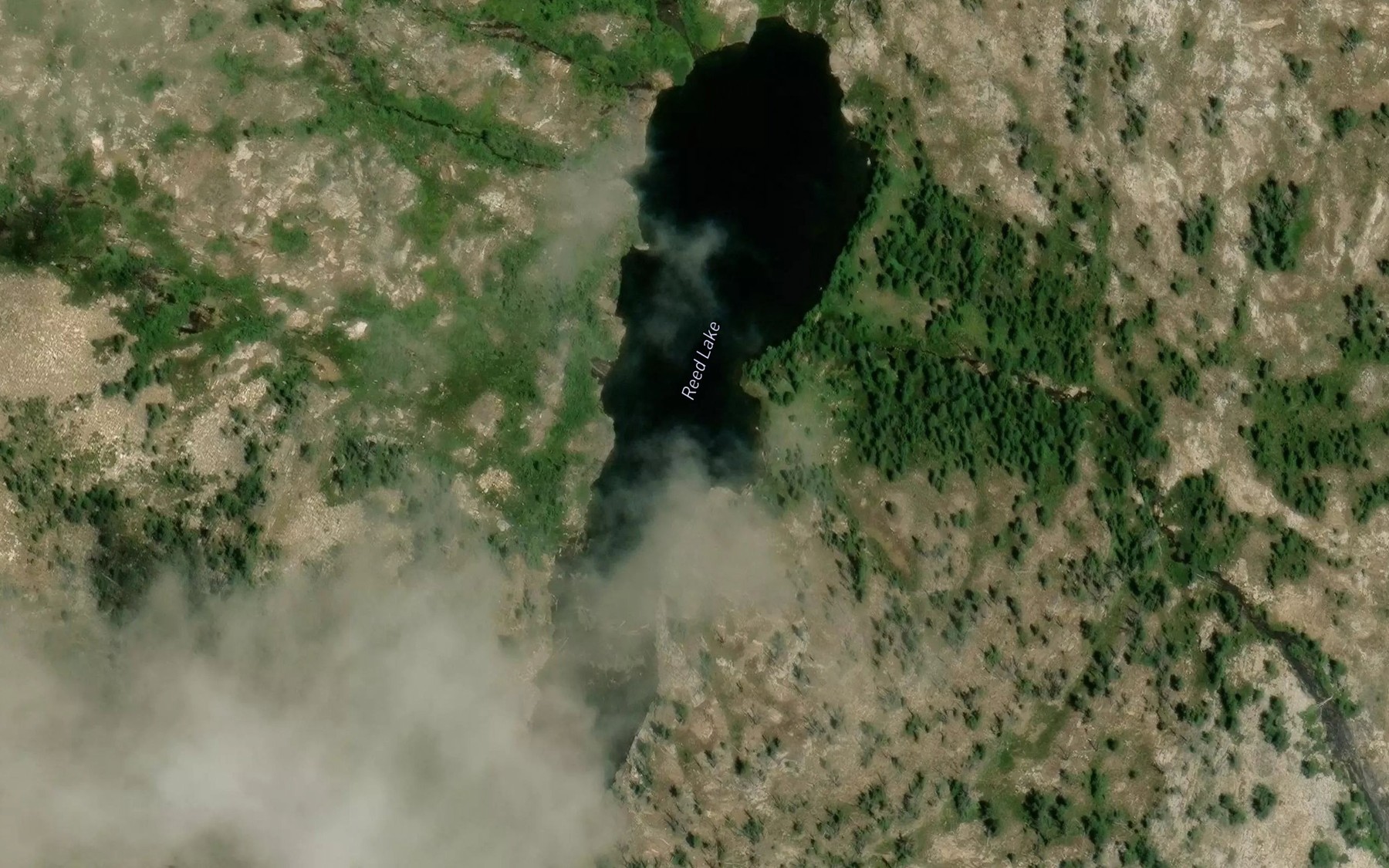 Satellite map of the Reed Lake