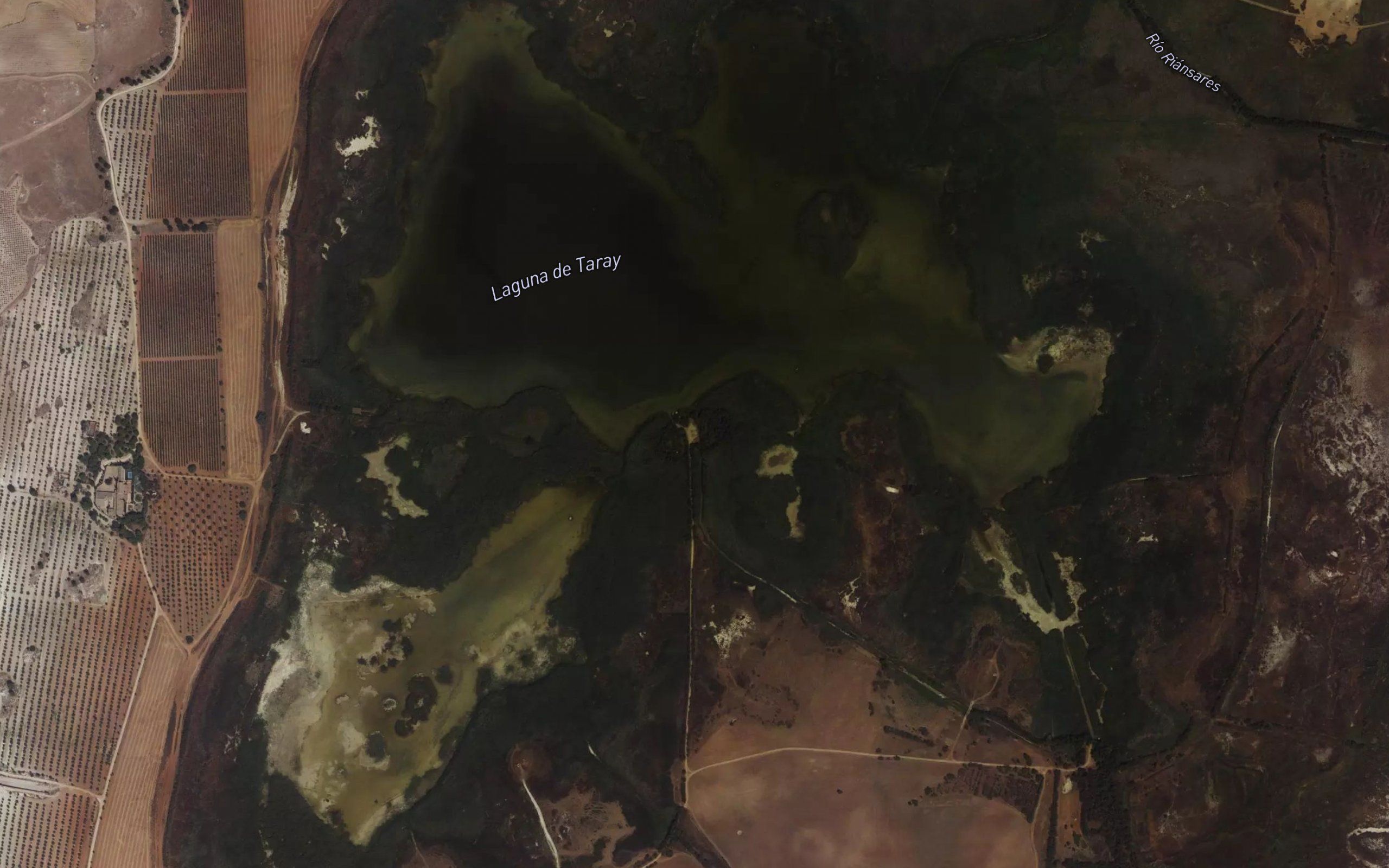 Laguna del Taray