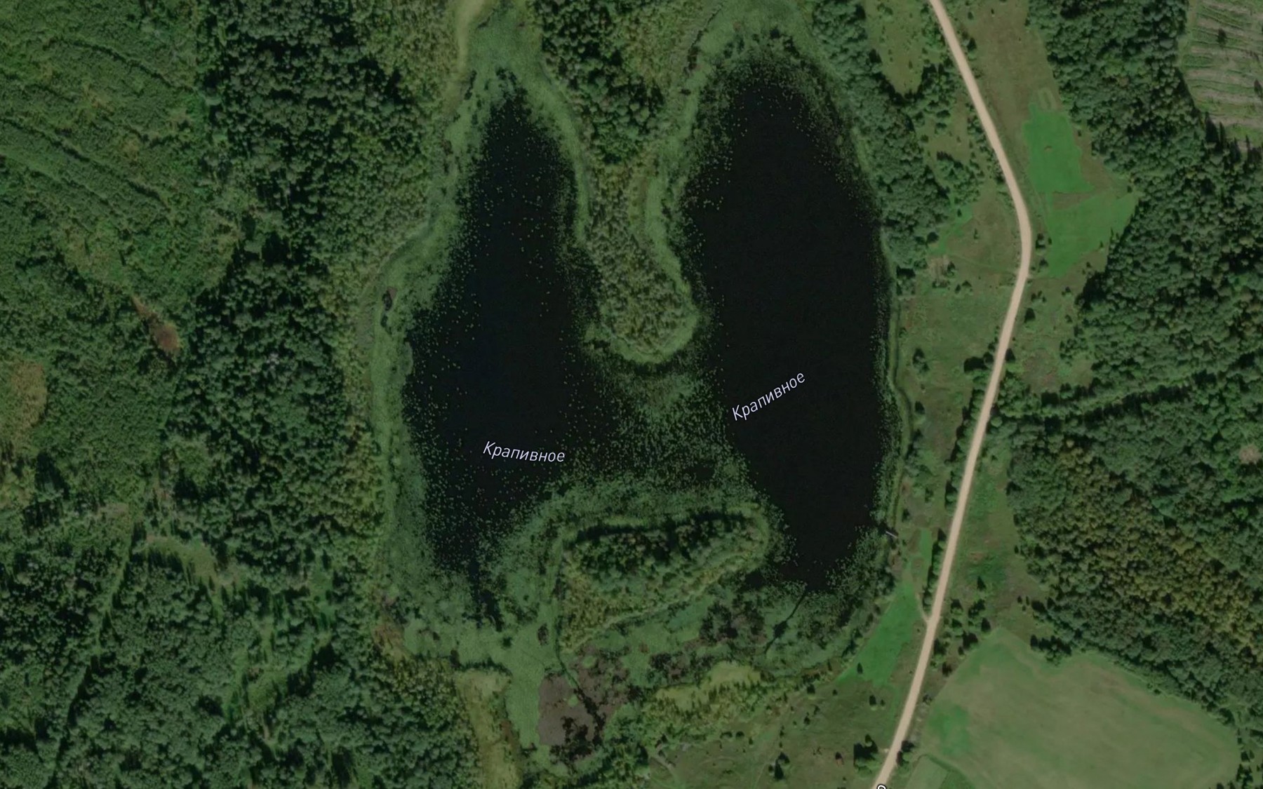 Satellite map of the Ozero Krapivnoye