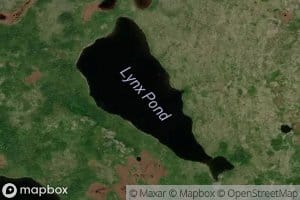 Lynx Pond
