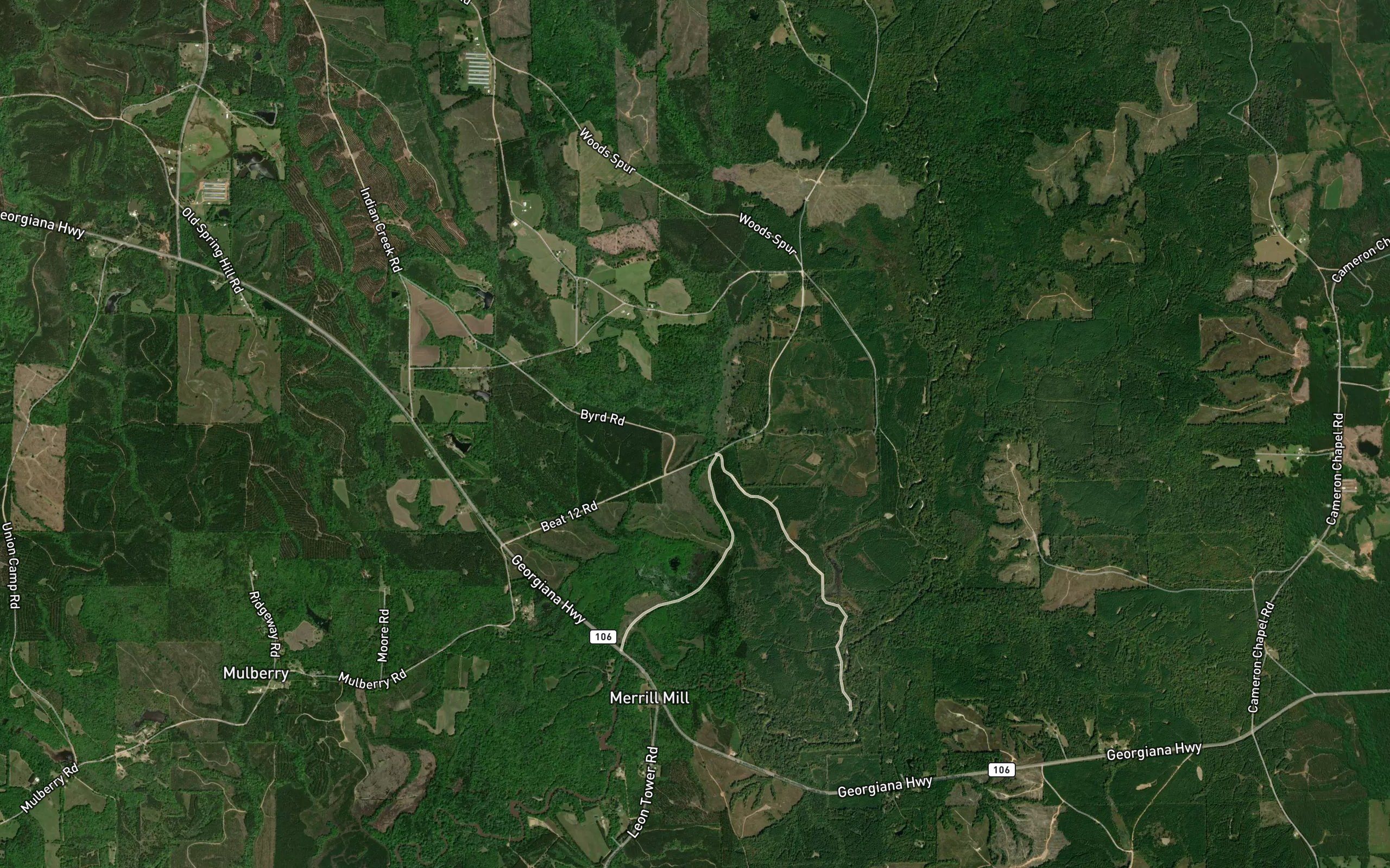 East Fork Bradley Branch