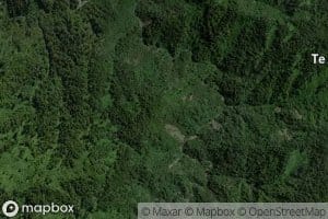 Taurekarekarua Stream