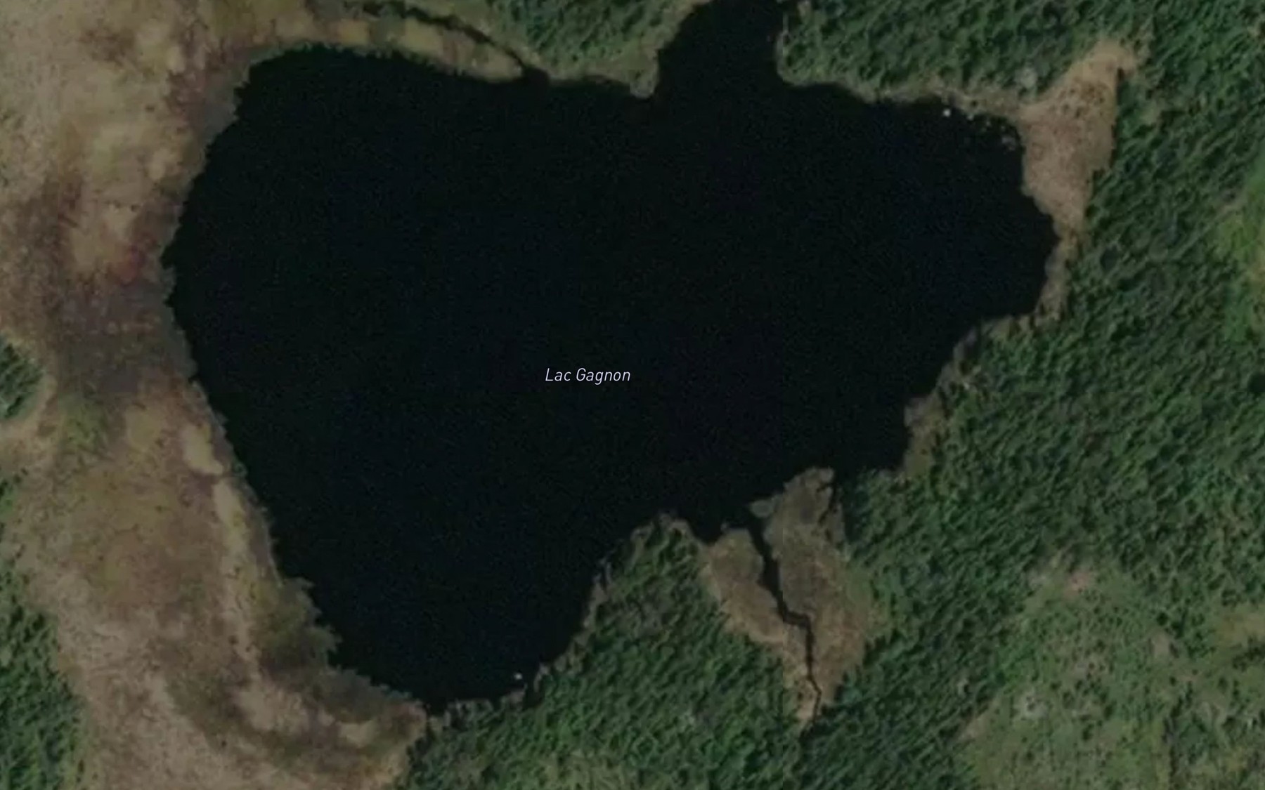 Satellite map of the Lac Gagnon