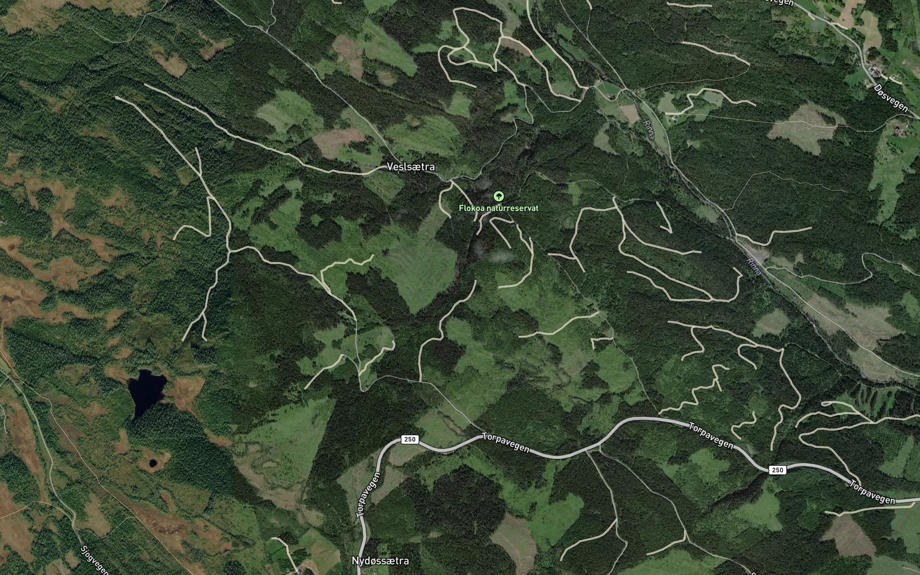 Satellite map of the Storbekken