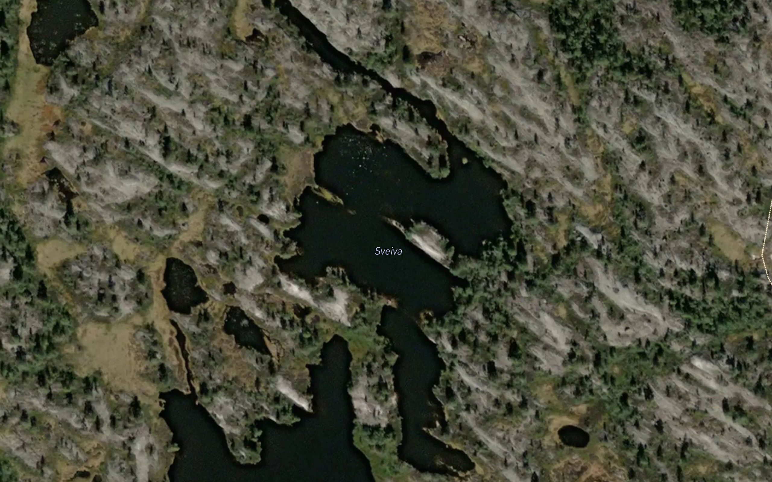 Sveiva