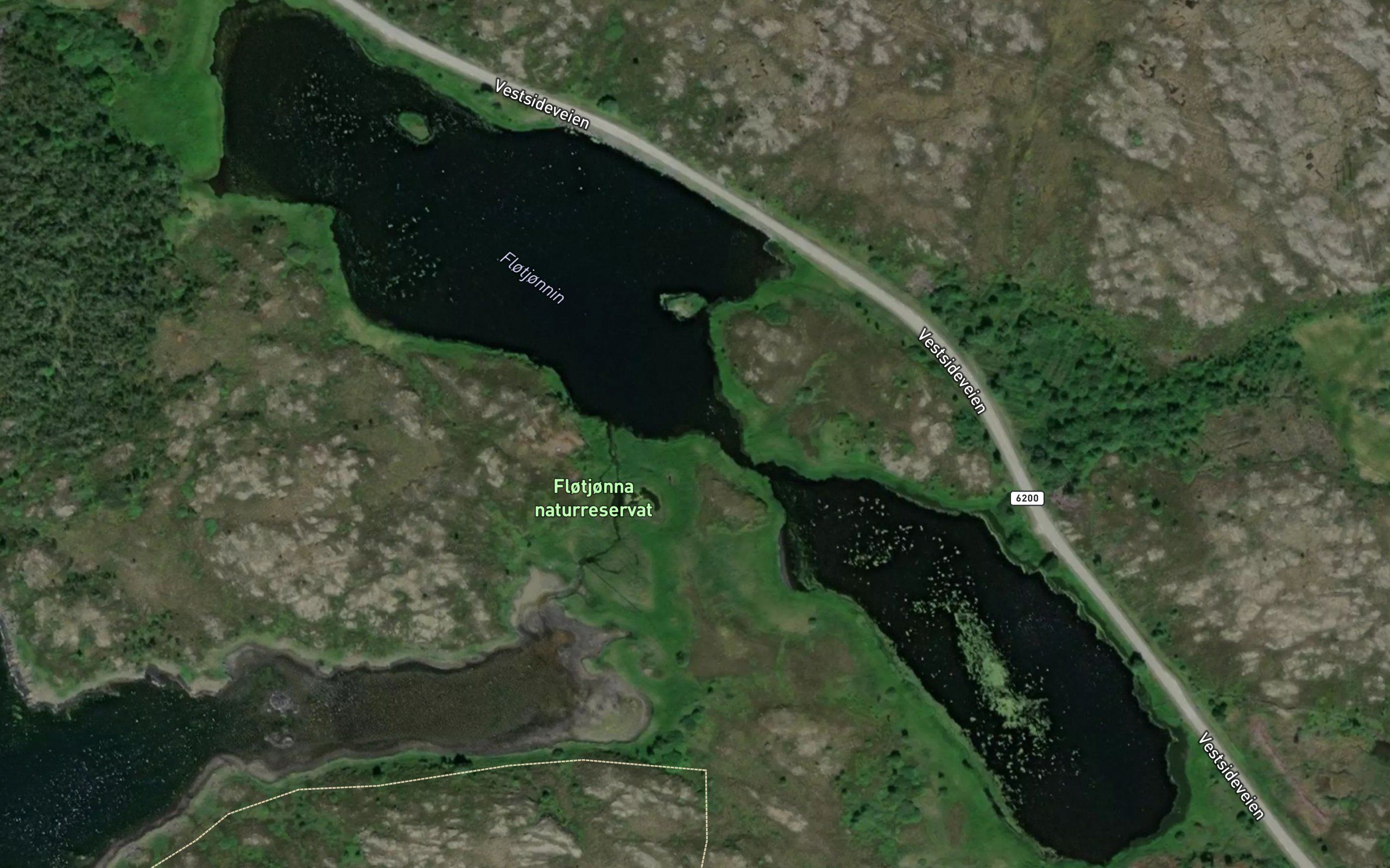 Flotjornane