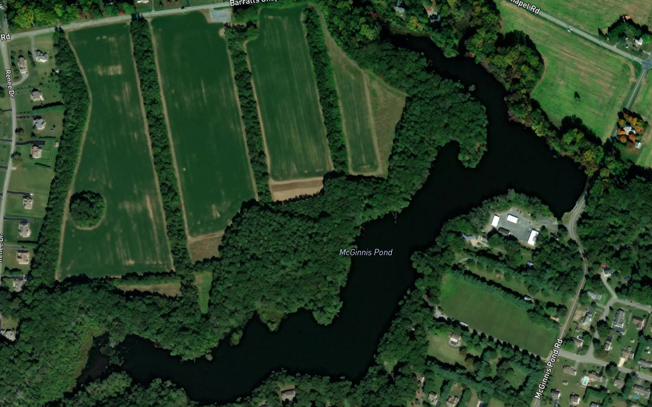 McGinnis Pond