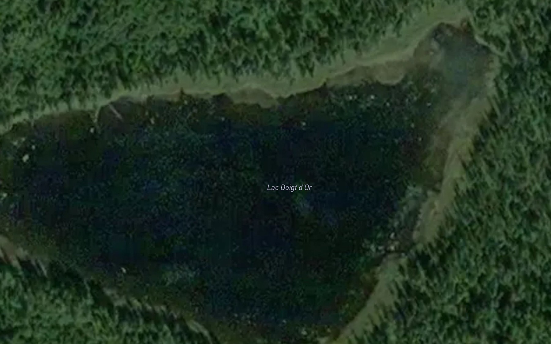 Satellite map of the Lac Doigt d'Or
