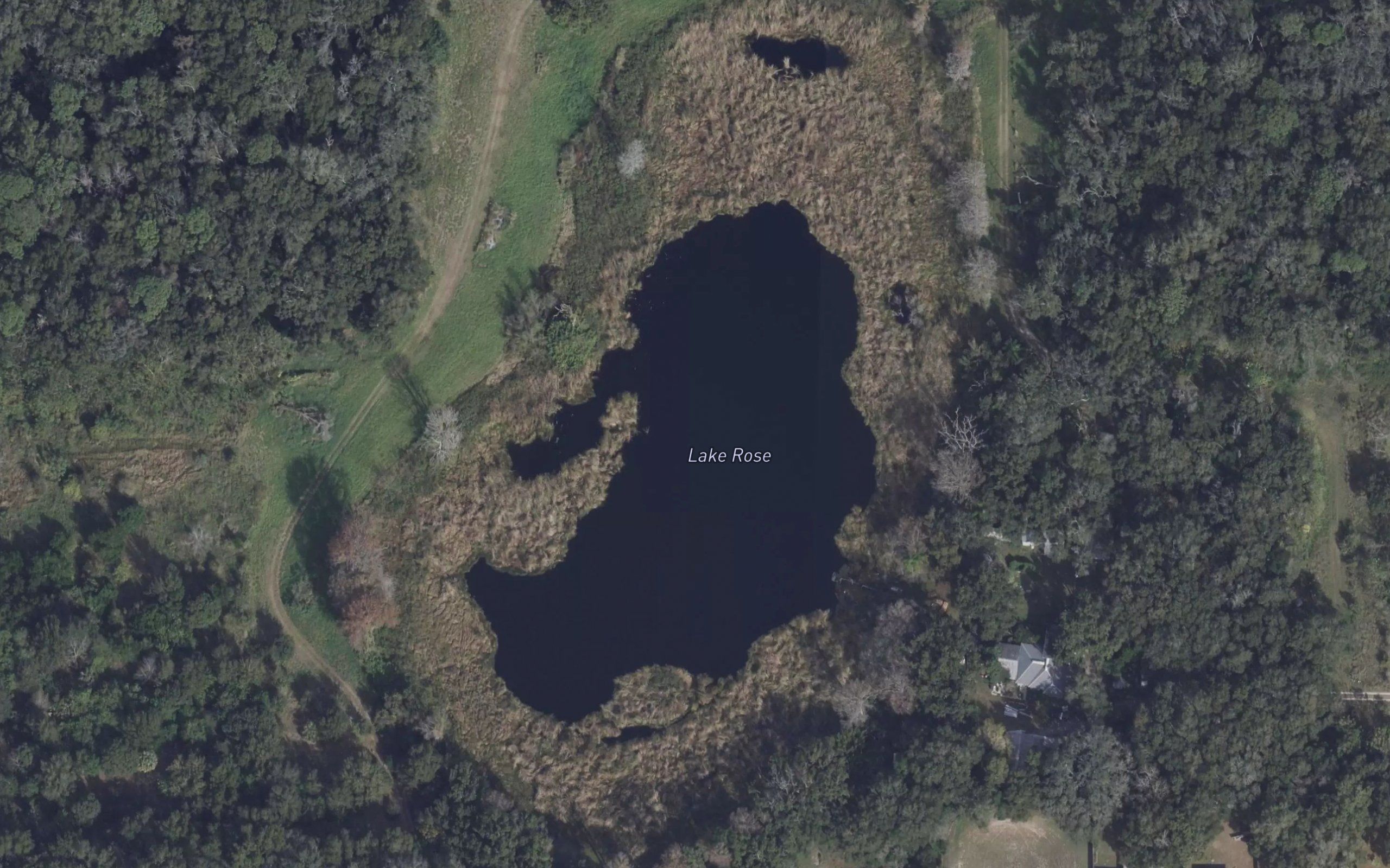 Lake Rose