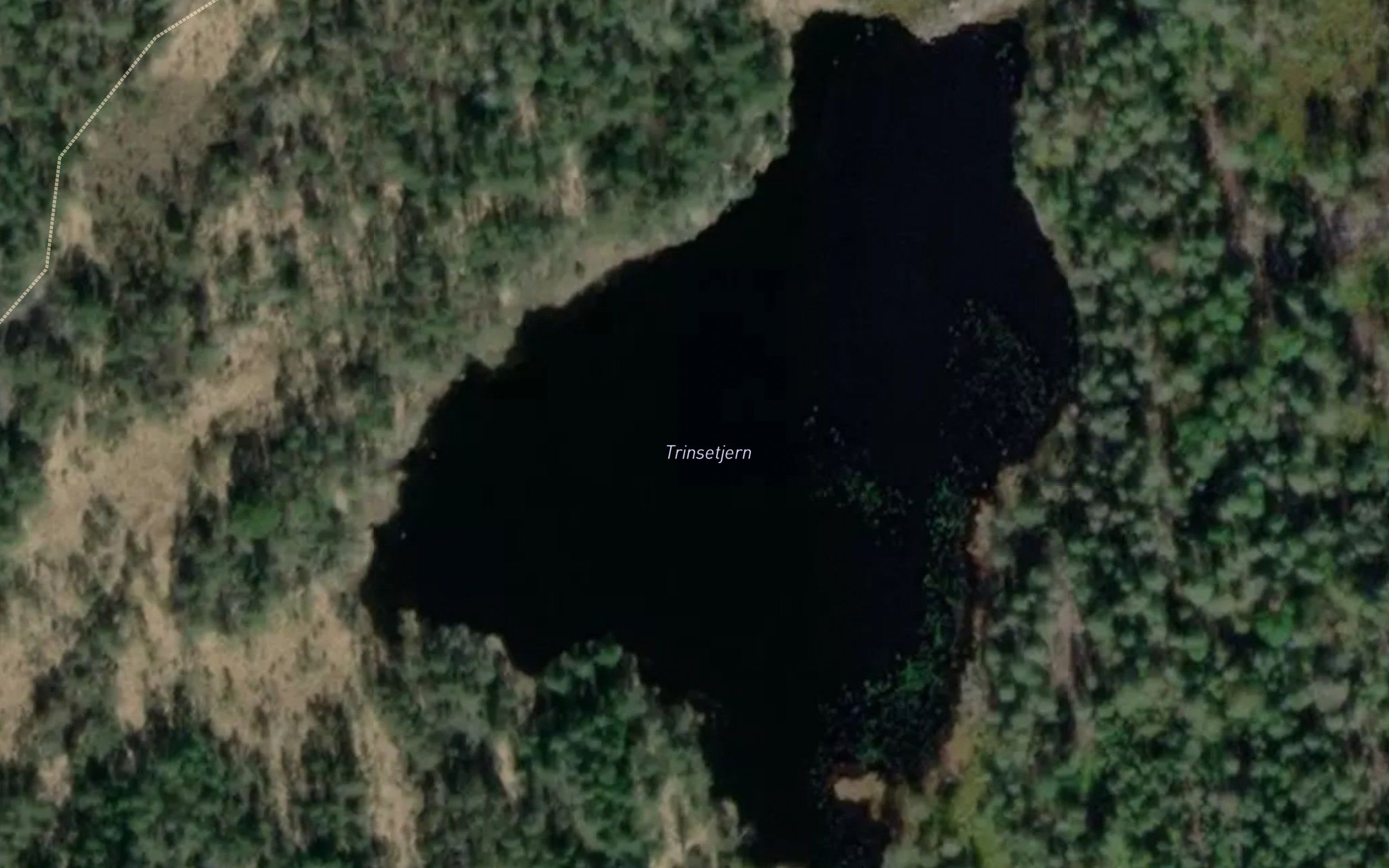 Trinsetjern