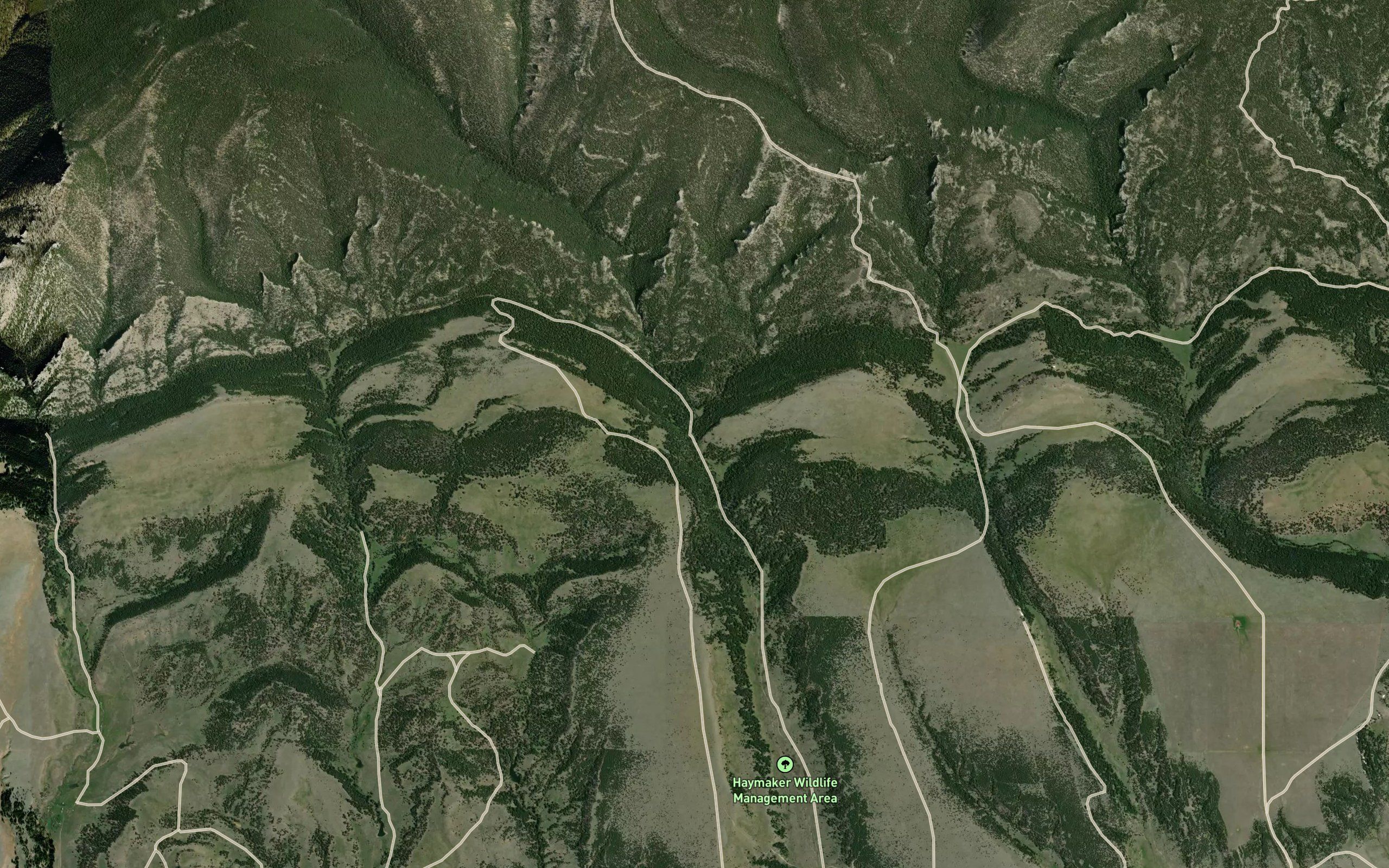 Morrisy Coulee Spring
