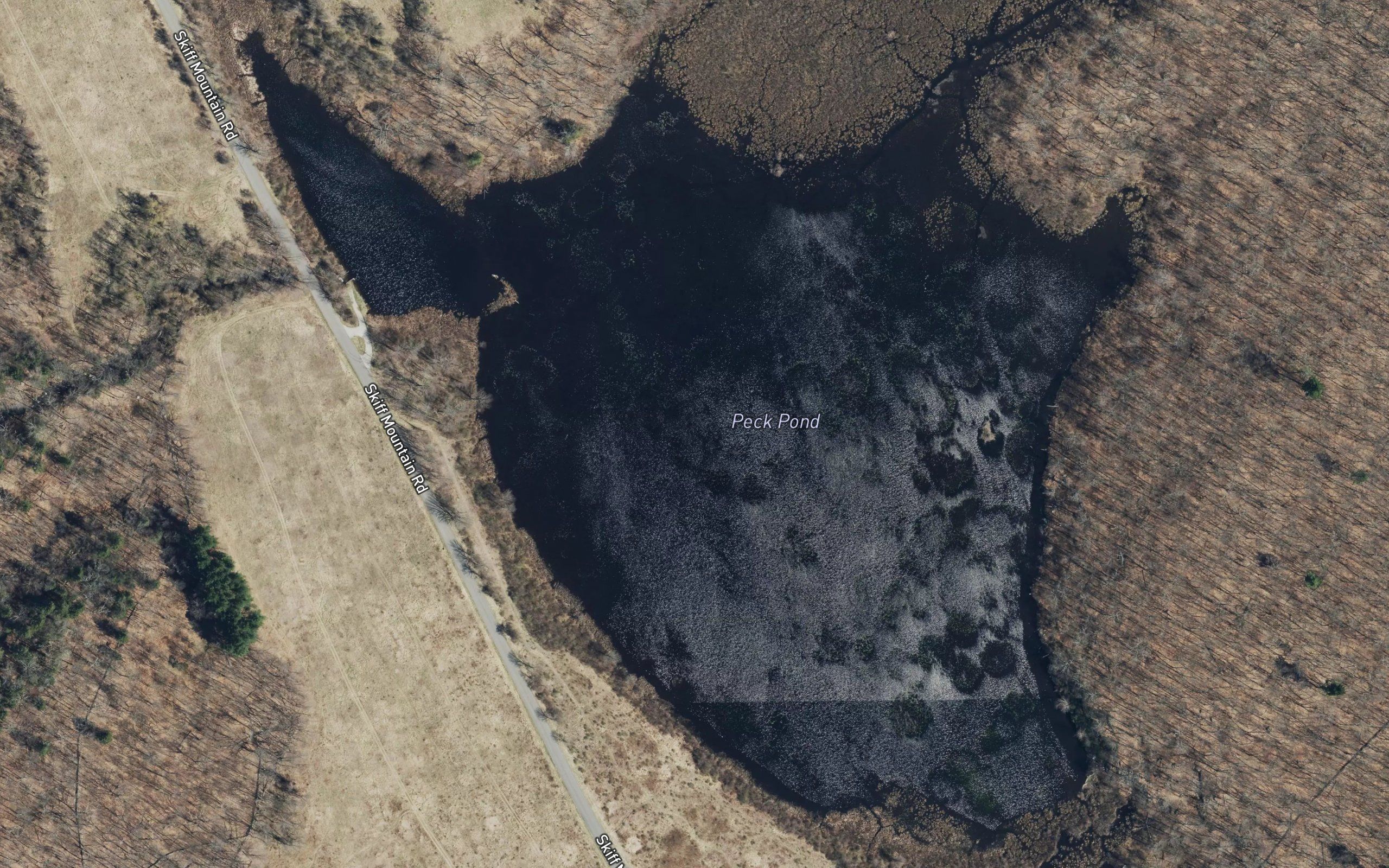 Peck Pond