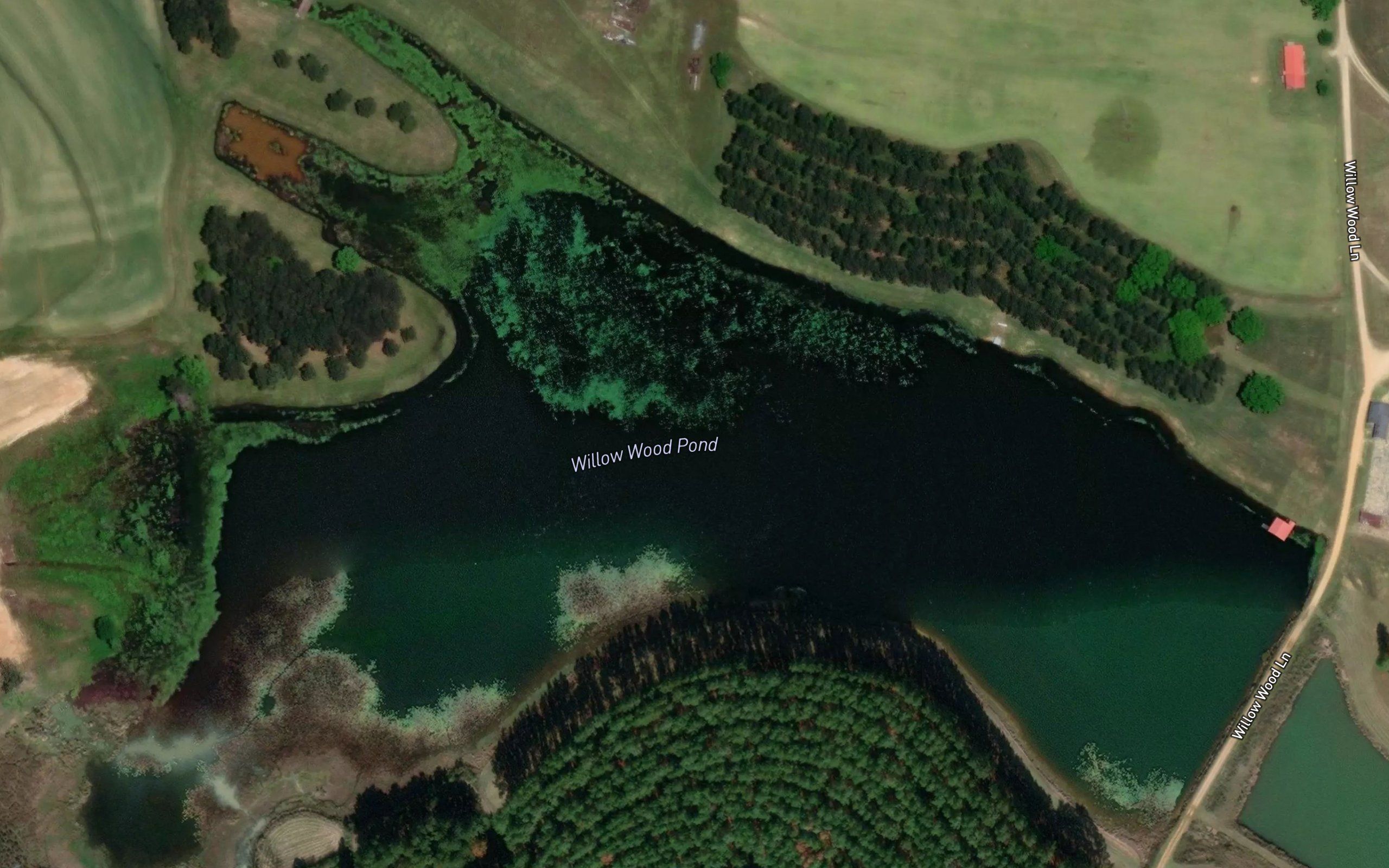 Willow Wood Pond