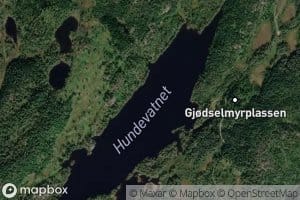 Hundevannet