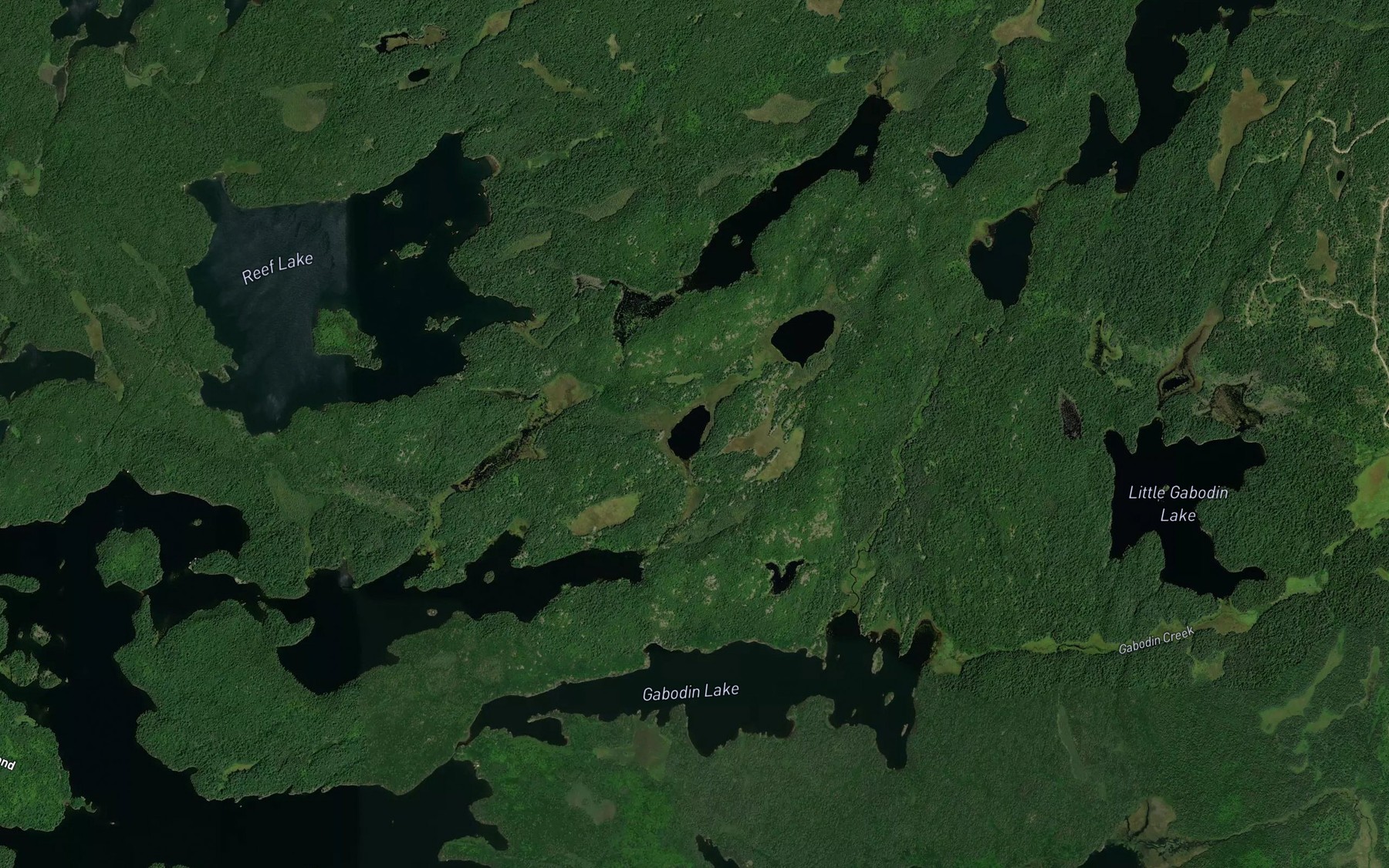 Satellite map of the Northeast Lake