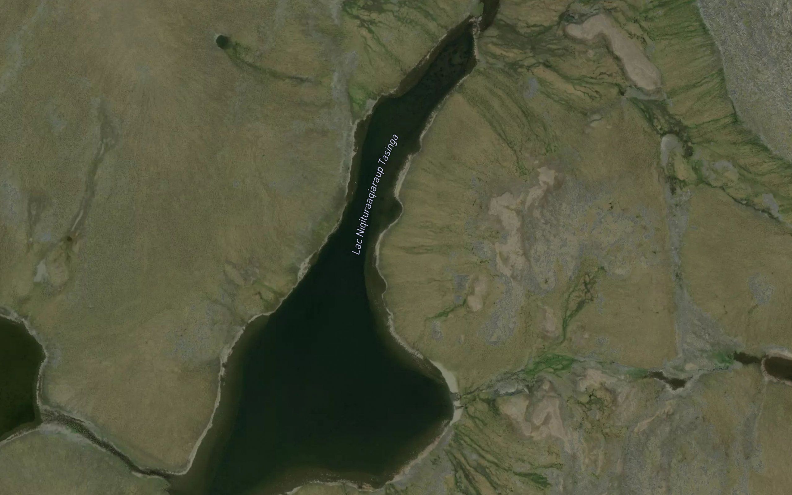 Lac Niqituraaqiaraup Tasinga