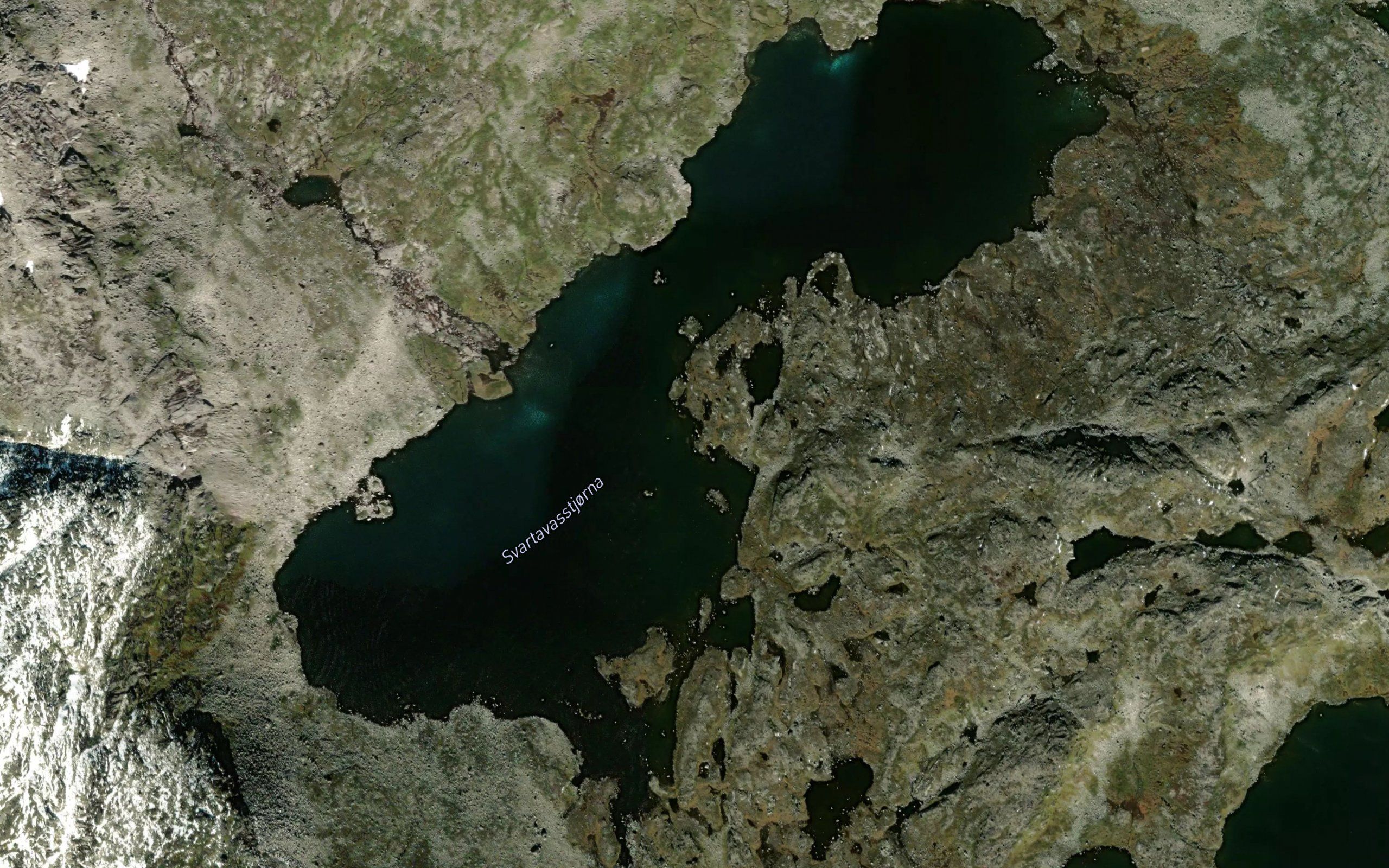 Svartevasstjorna