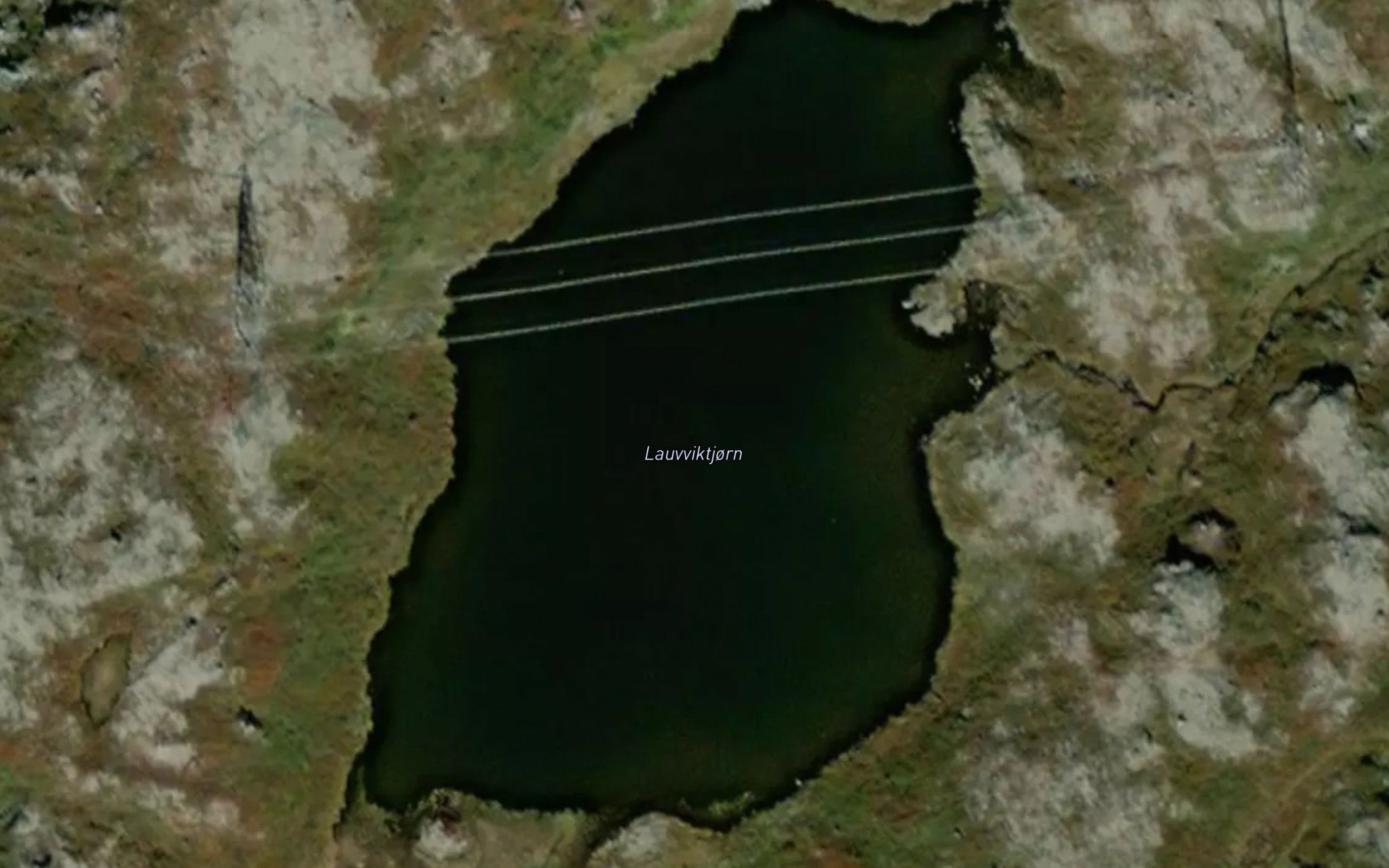 Lauvviktjodn