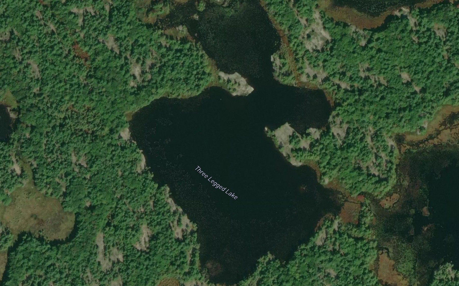 Satellite map of the Three Legged Lake