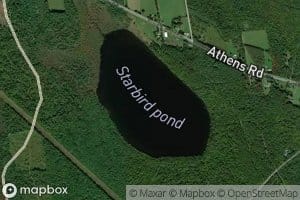 Starbird Pond