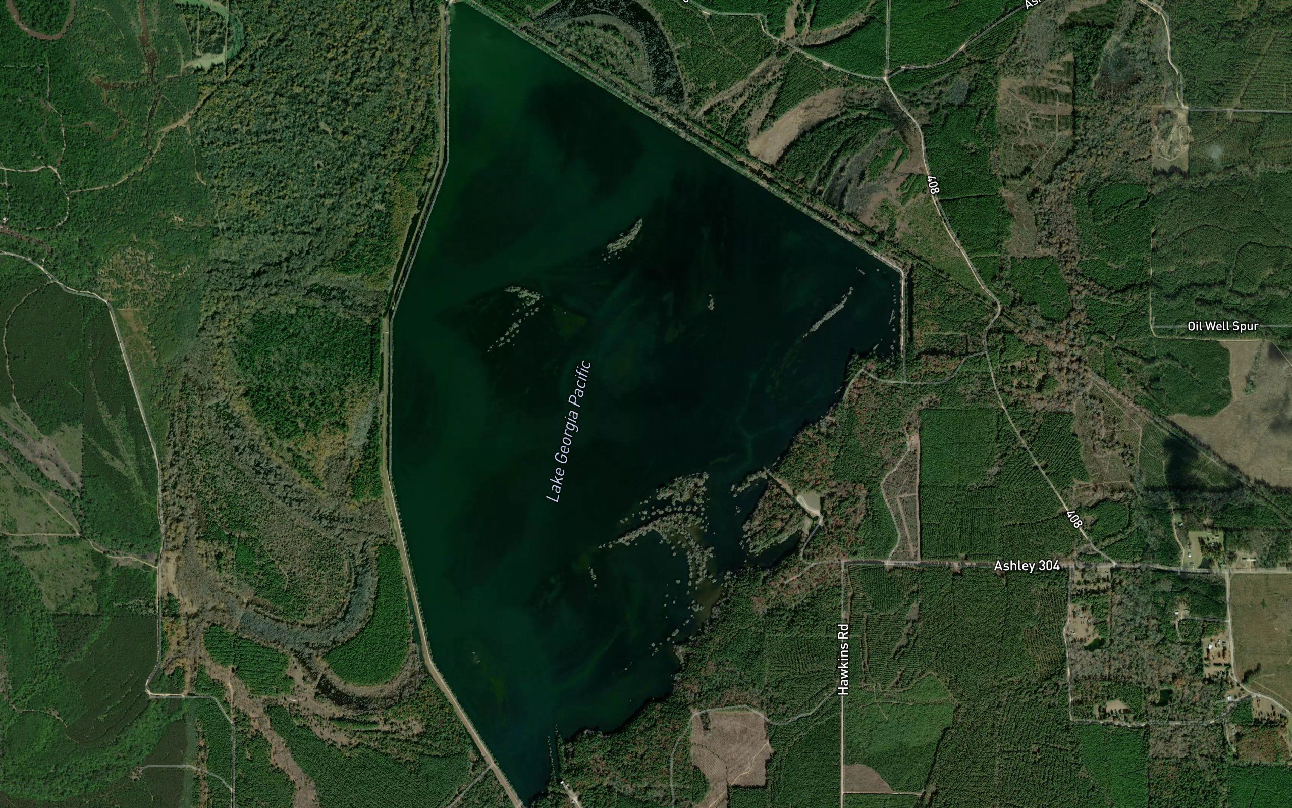 Lake Georgia-Pacific