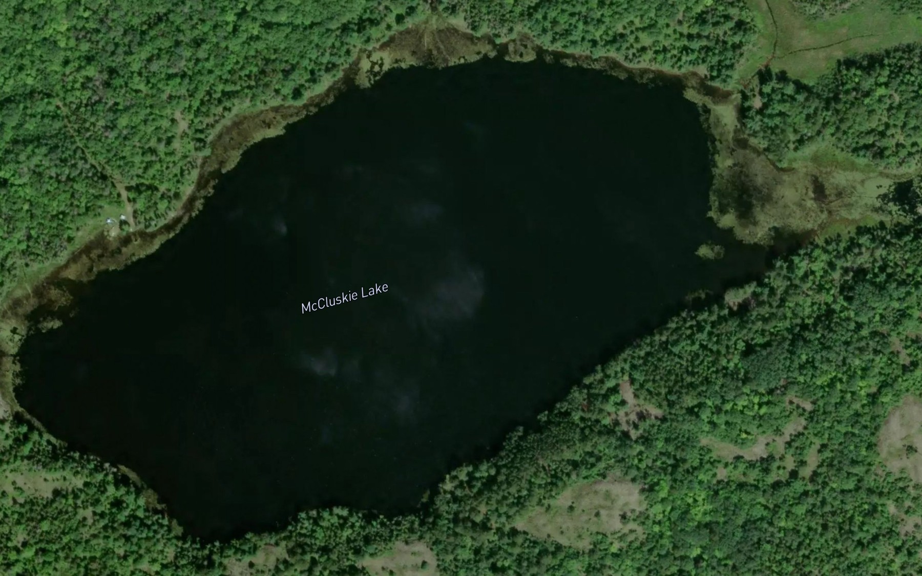 Satellite map of the McCluskie Lake