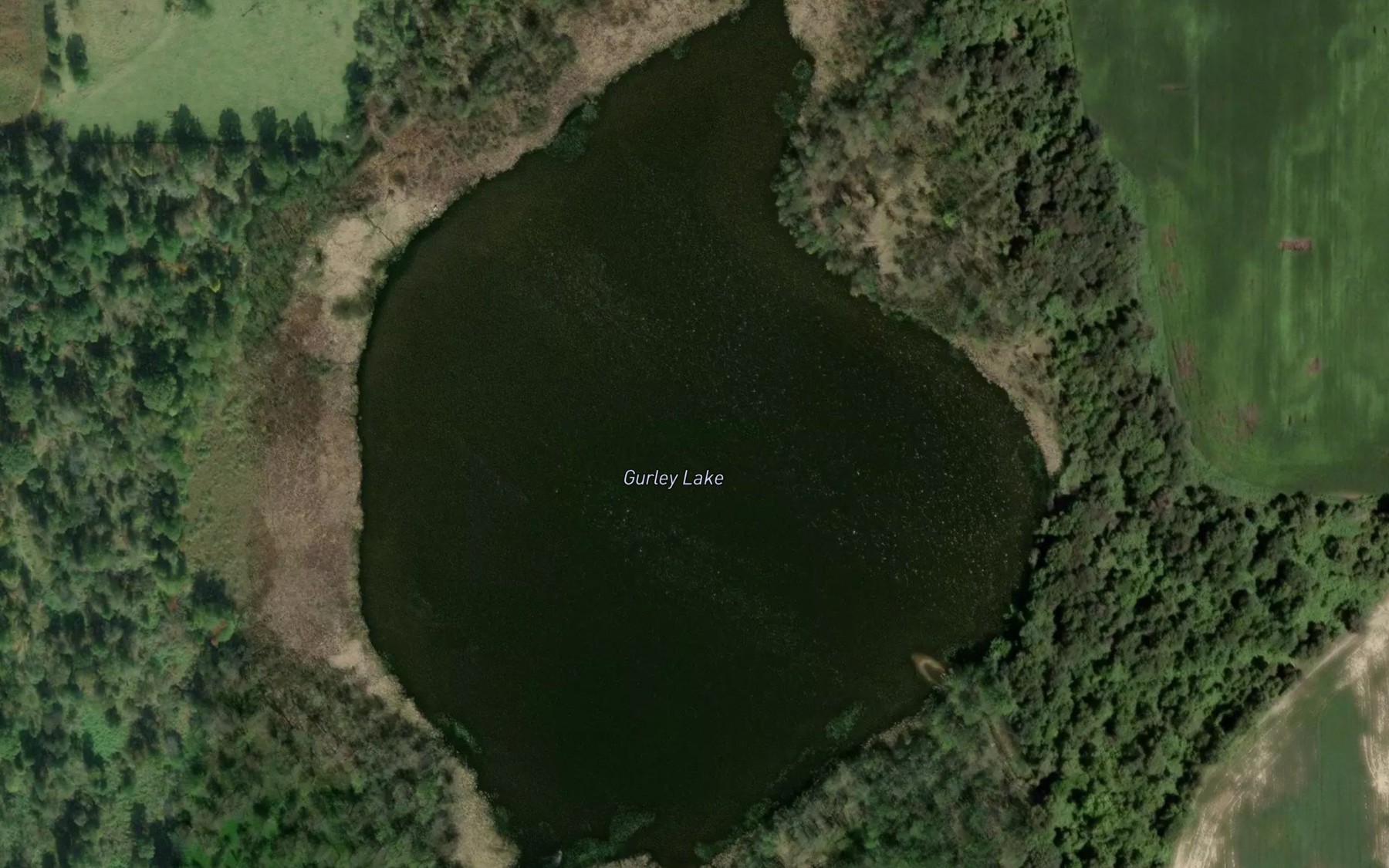 Satellite map of the Gurley Lake