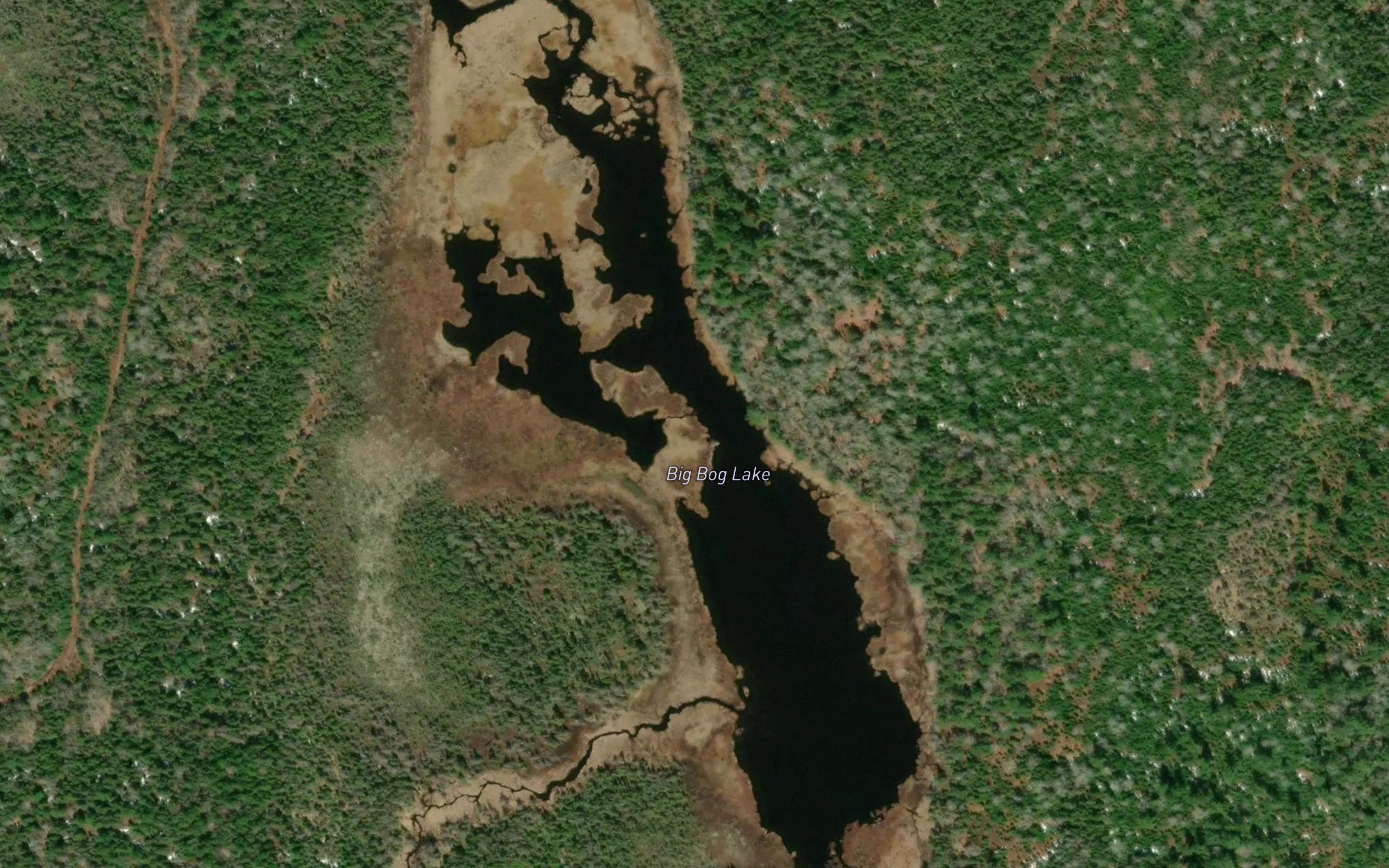 Big Bog Lake